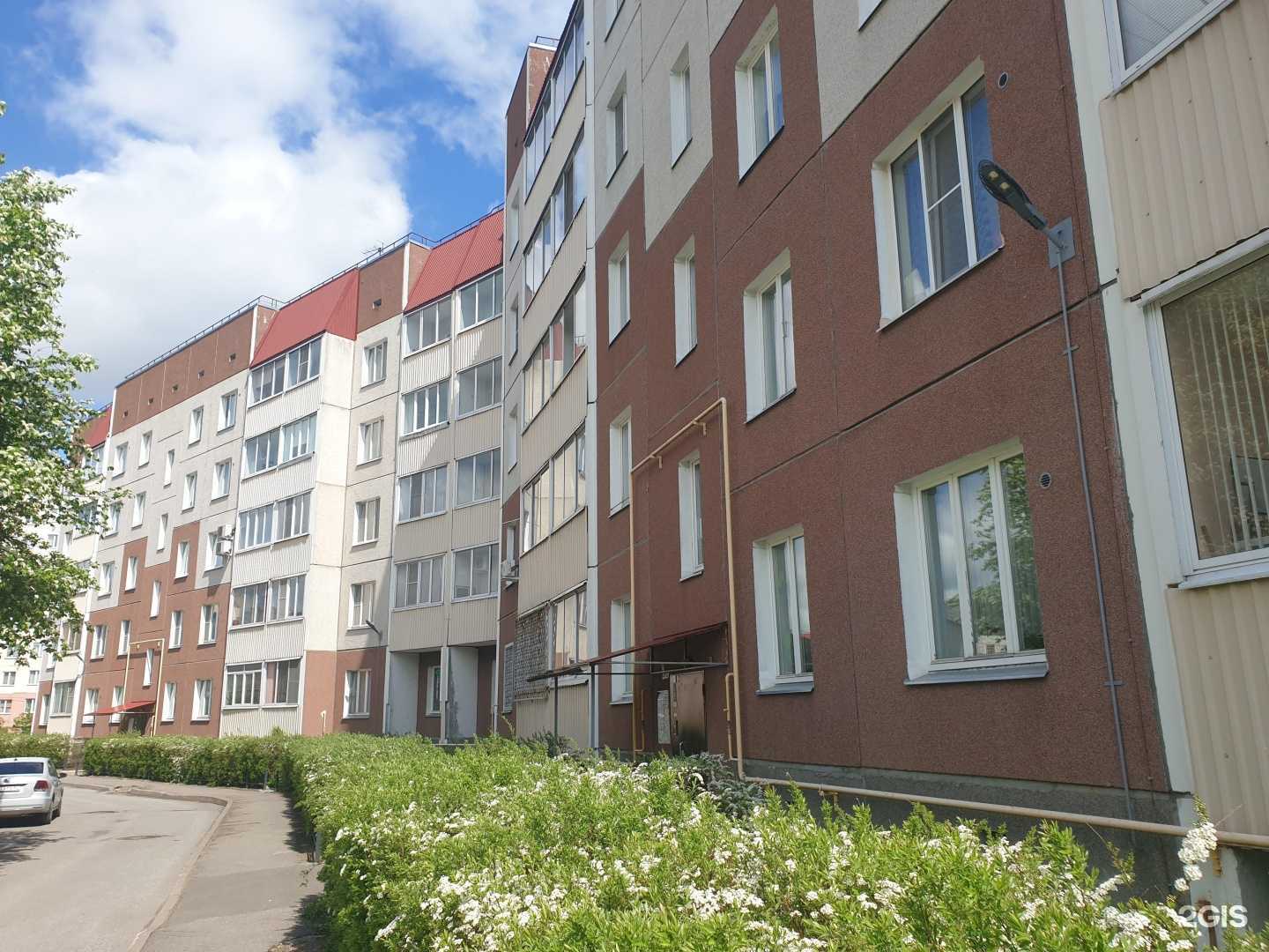 Отзывы на компанию Магазин цветов в Гатчине c фото - фотография 2 из 2