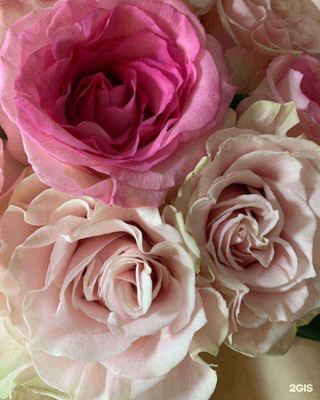 Отзывы на компанию ELSEDA в Липецке c фото