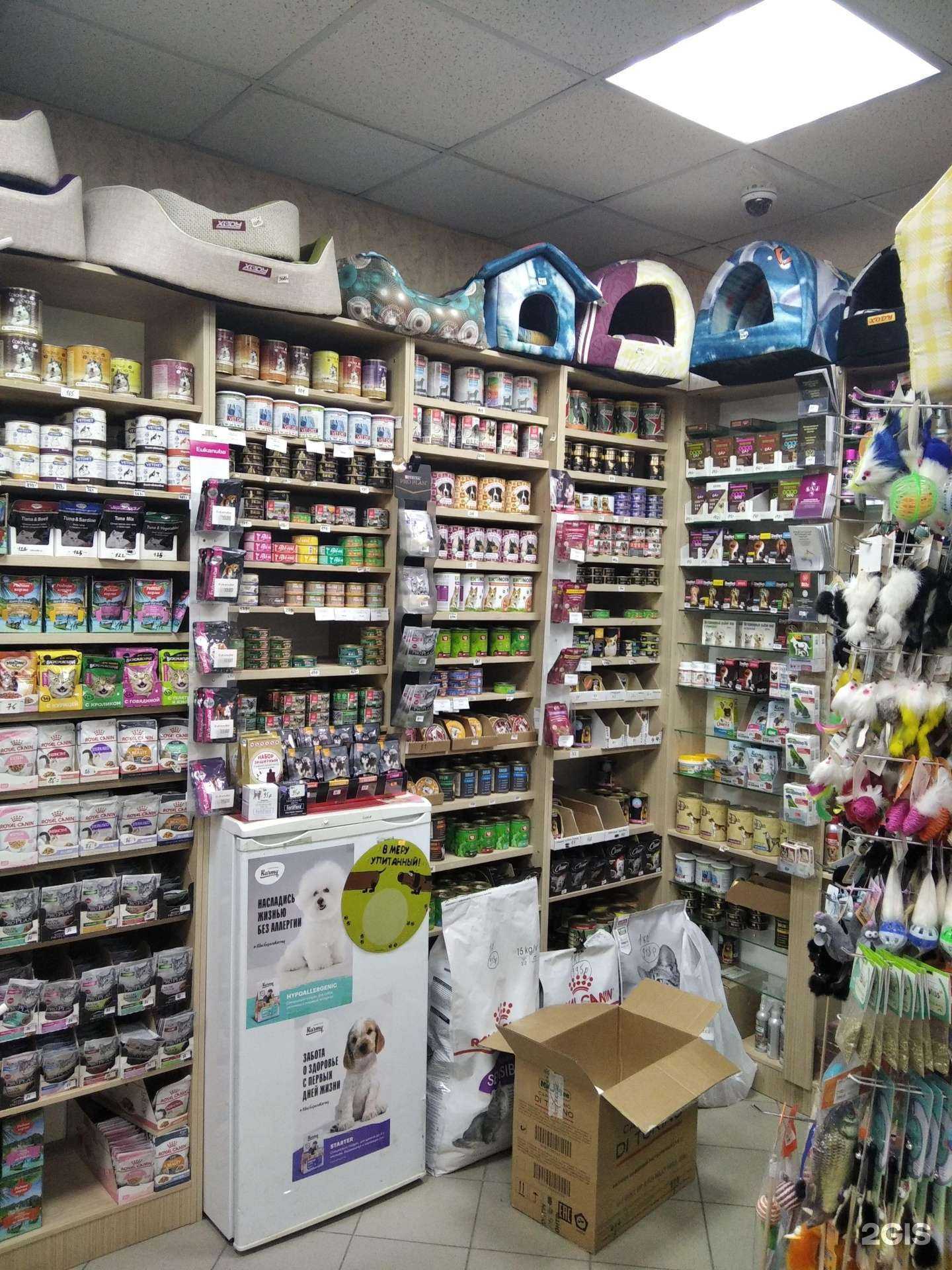 Отзывы на компанию Дискус в г. Мурманск c фото