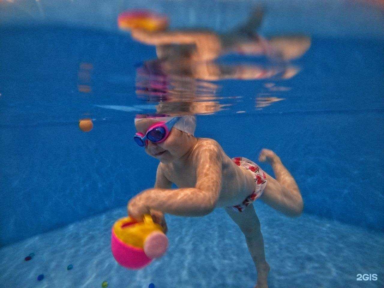 Отзывы на компанию Flipper в Краснодаре c фото