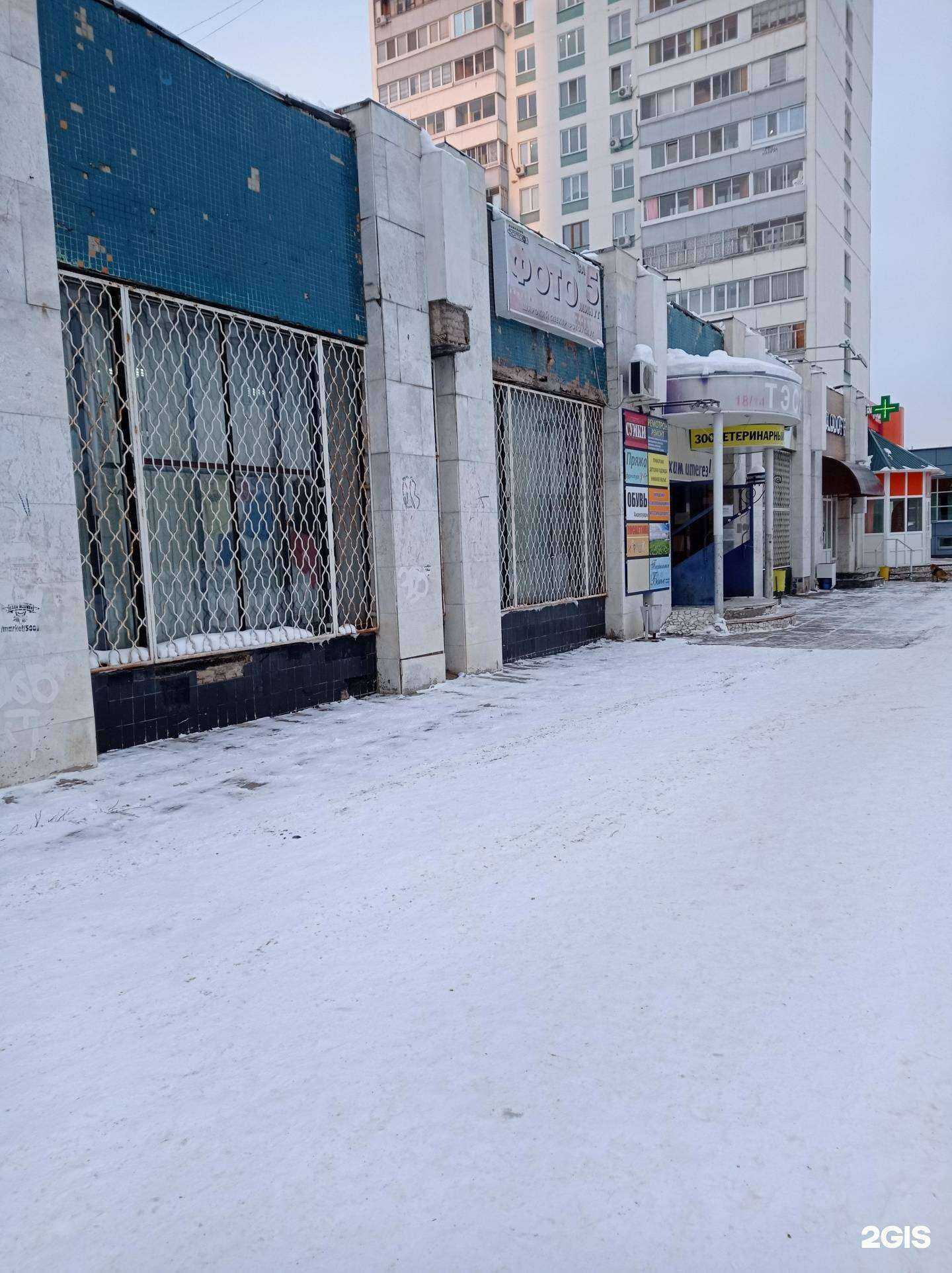 Отзывы на компанию Четыре лапки в Набережных Челнах c фото - фотография 2 из 2