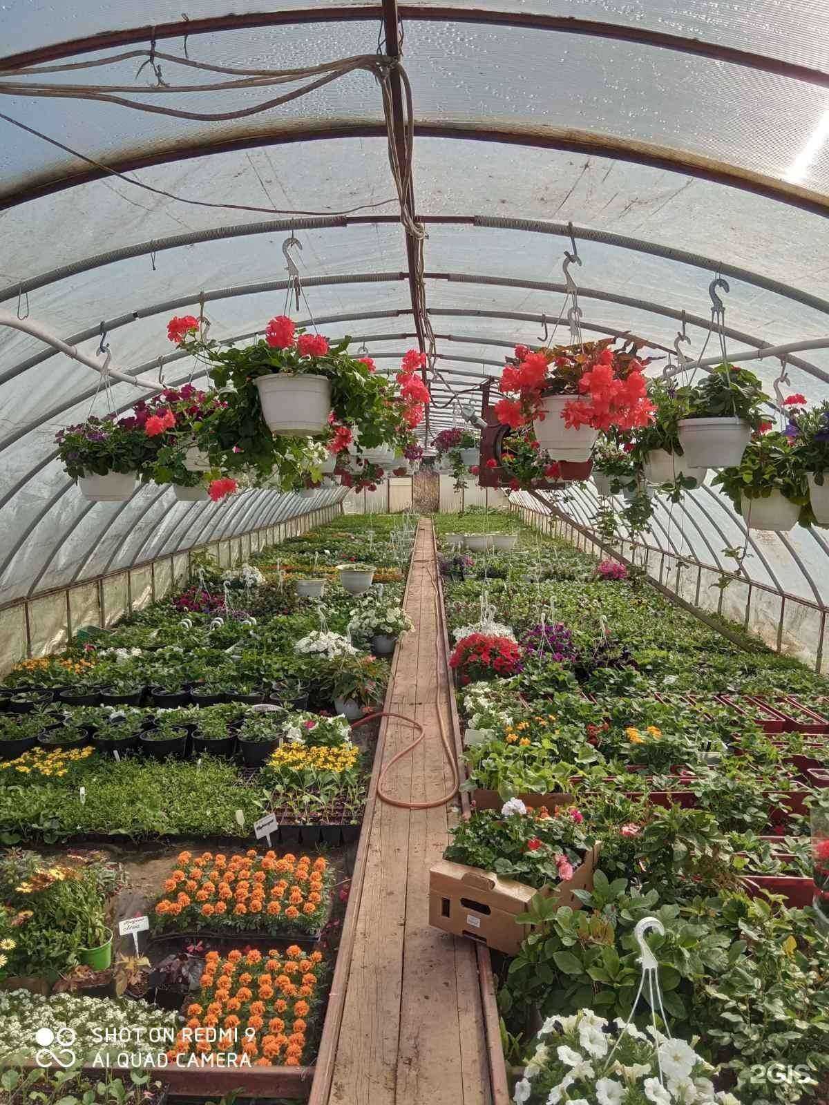 Отзывы на компанию Ктм в Костроме c фото