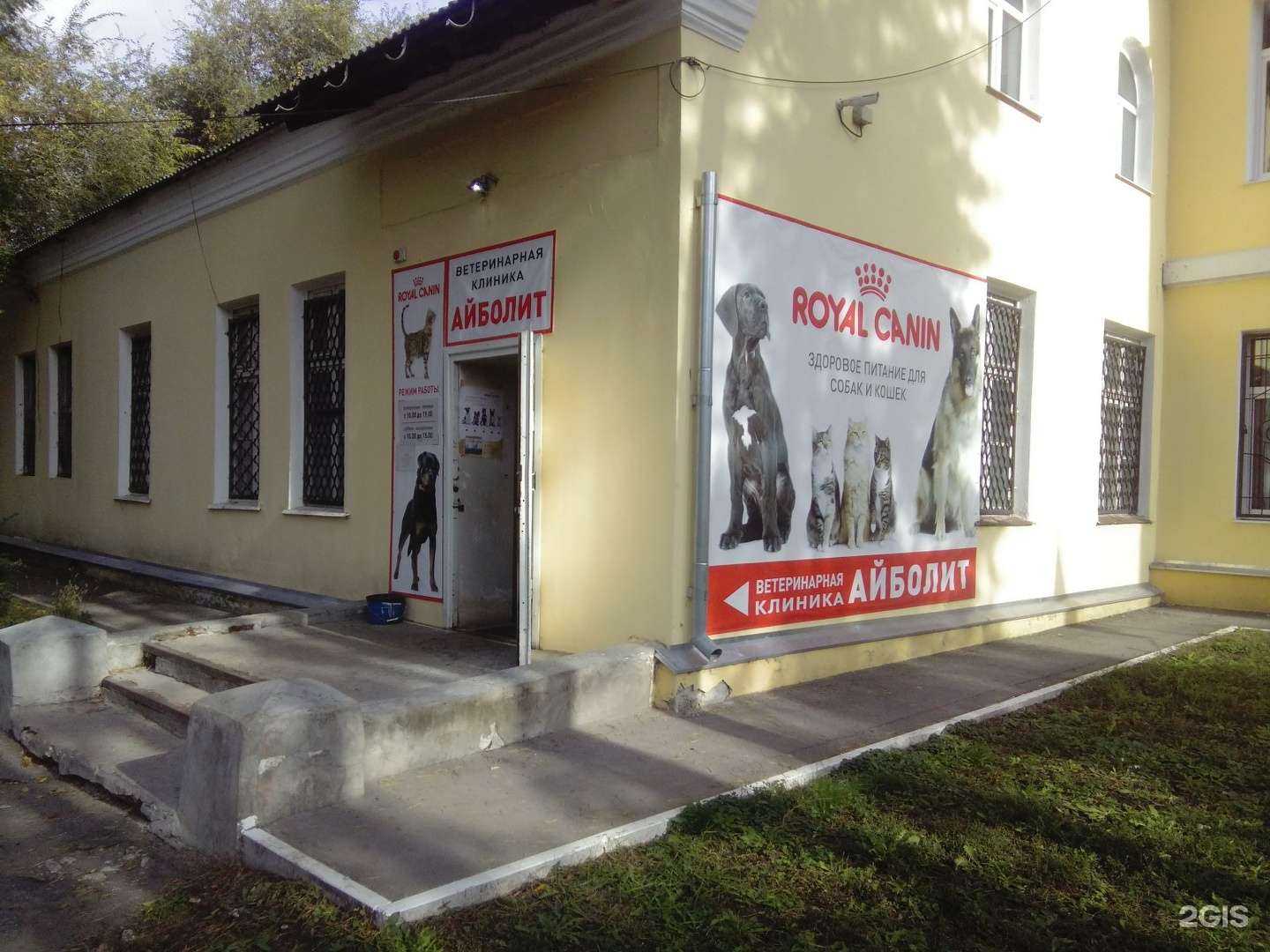 Отзывы на компанию Айболит в Тольятти c фото