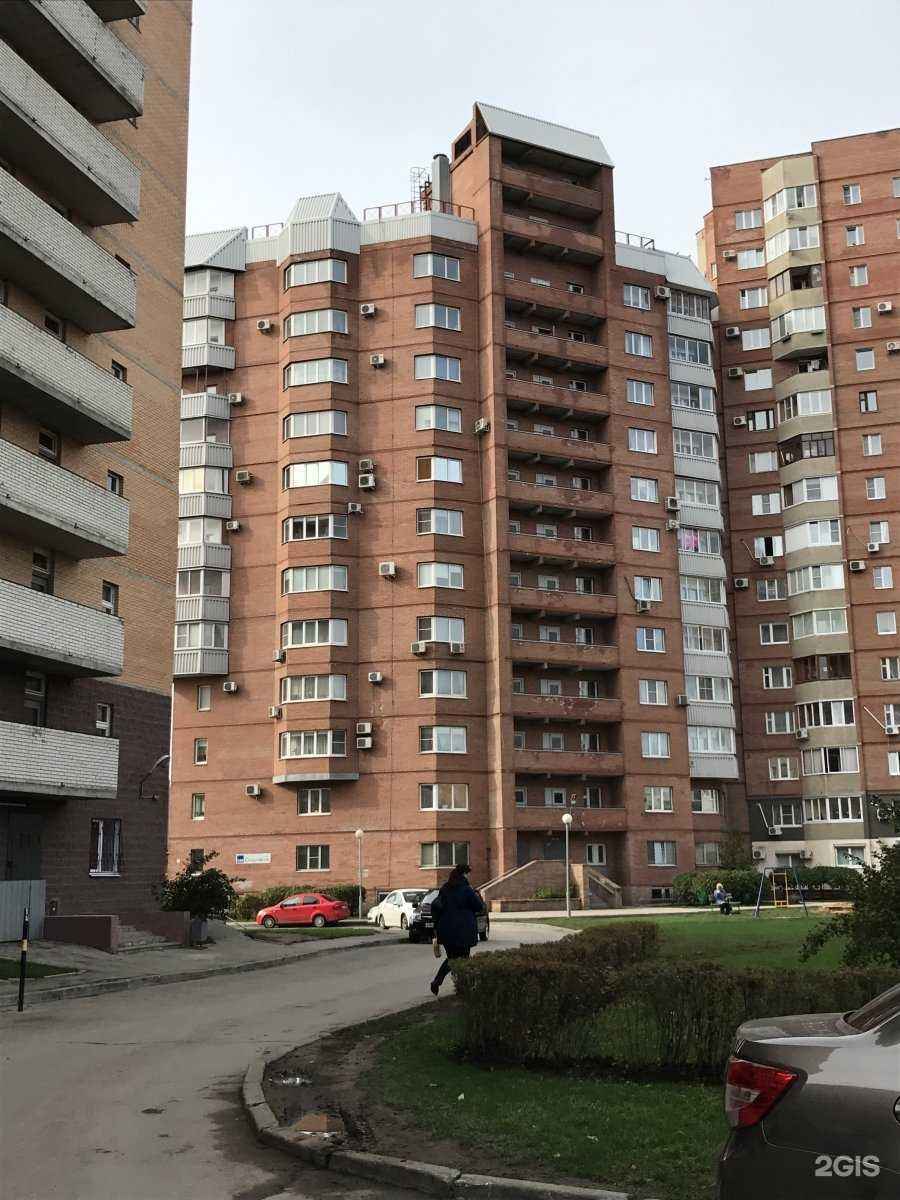 Отзывы на компанию Мокрый нос в Тольятти c фото - фотография 2 из 2