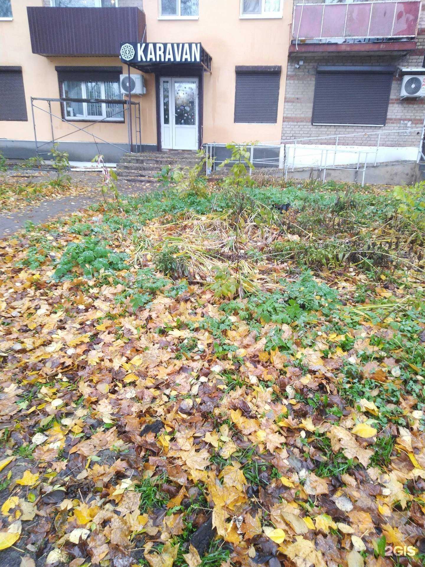 Отзывы на компанию Караван в г. Тамбов c фото