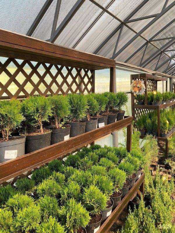 Отзывы на компанию Клевер-Сад в г. Курган c фото