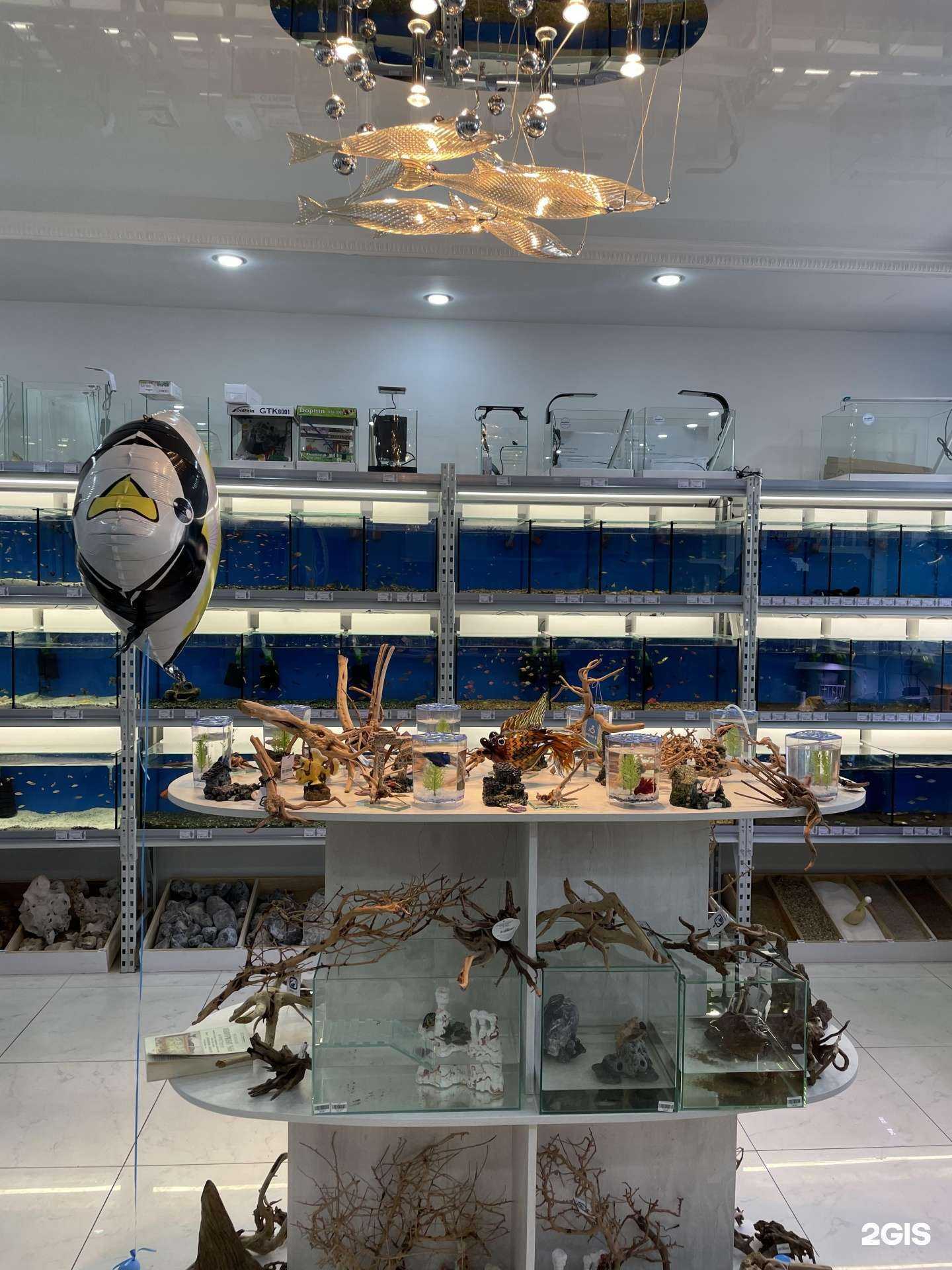 Отзывы на компанию АкваШеф в г. Иркутск c фото