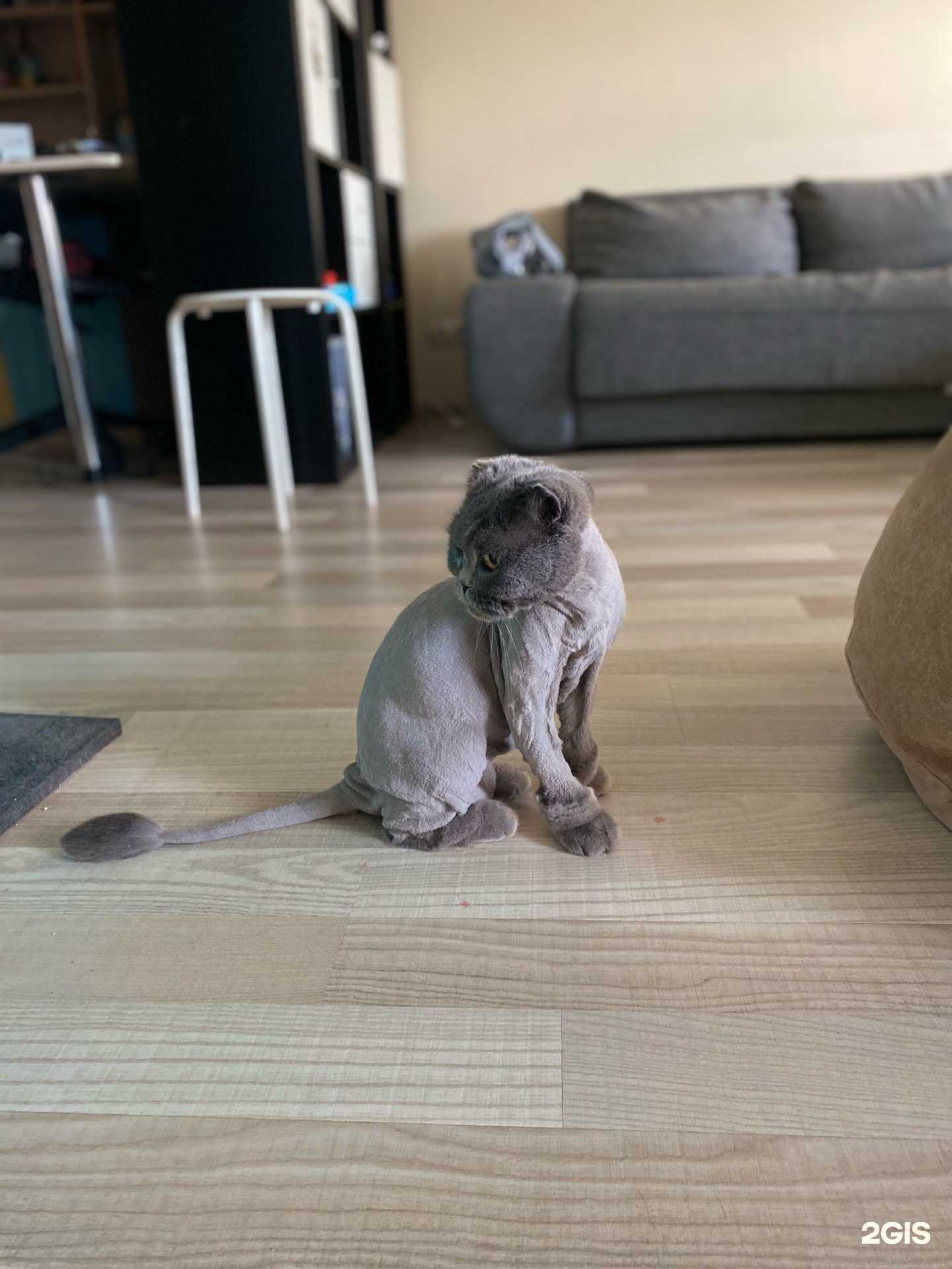 Отзывы на компанию Стиляша в г. Тольятти c фото