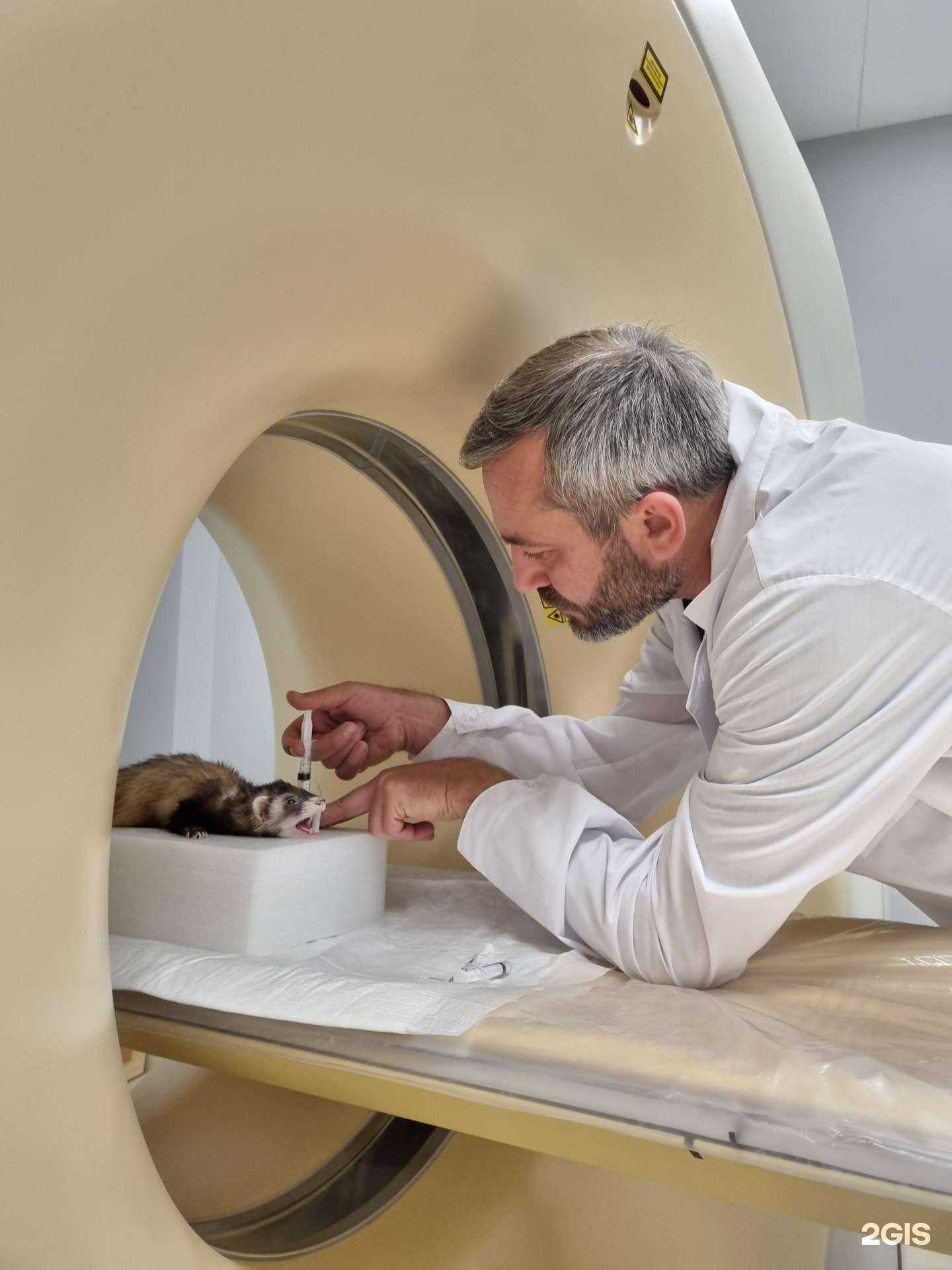 Отзывы на компанию Ветнора в Новосибирске c фото