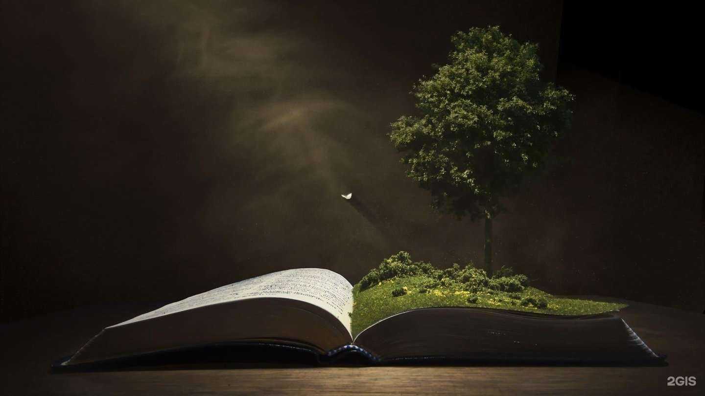 Отзывы на компанию ЭкоСибирь в г. Красноярск c фото