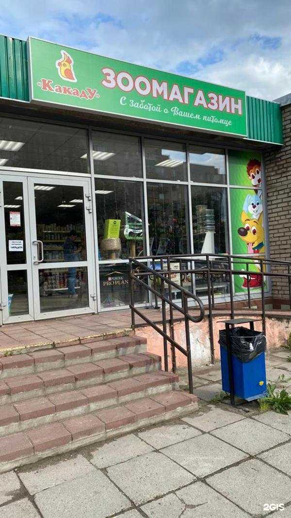 Отзывы на компанию Какаду в Череповце c фото