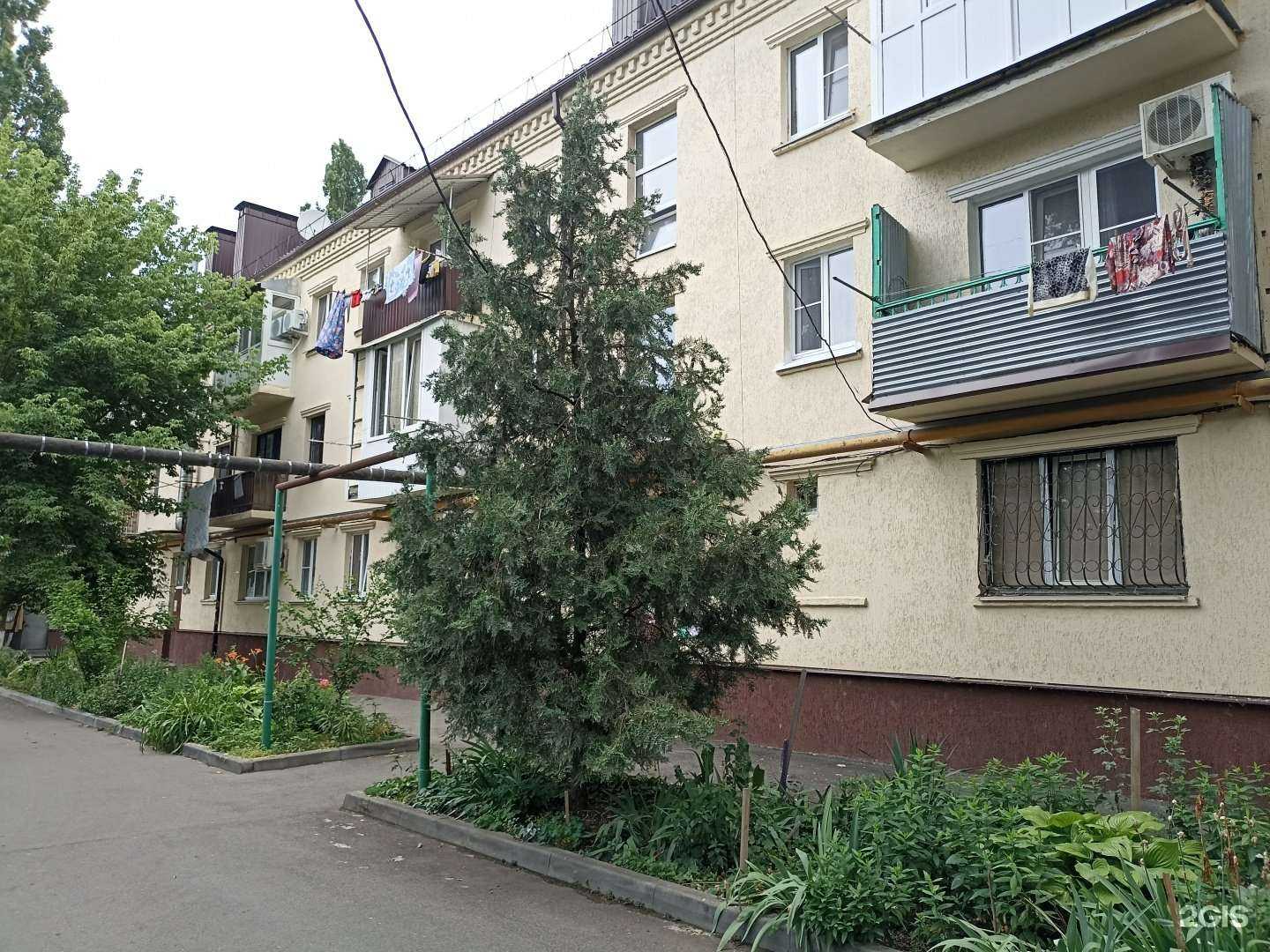 Отзывы на компанию ЧебурекМи в Минеральных Водах c фото - фотография 2 из 2