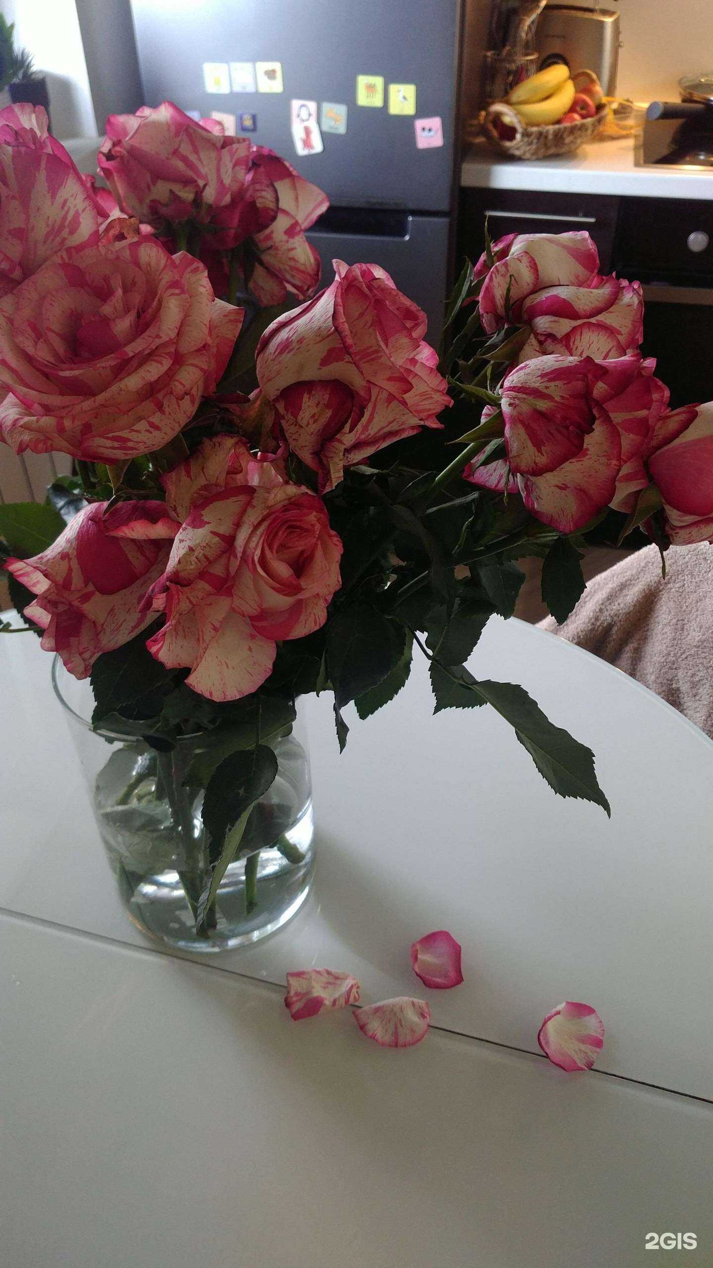 Отзывы на компанию 101 роза в Петрозаводске c фото