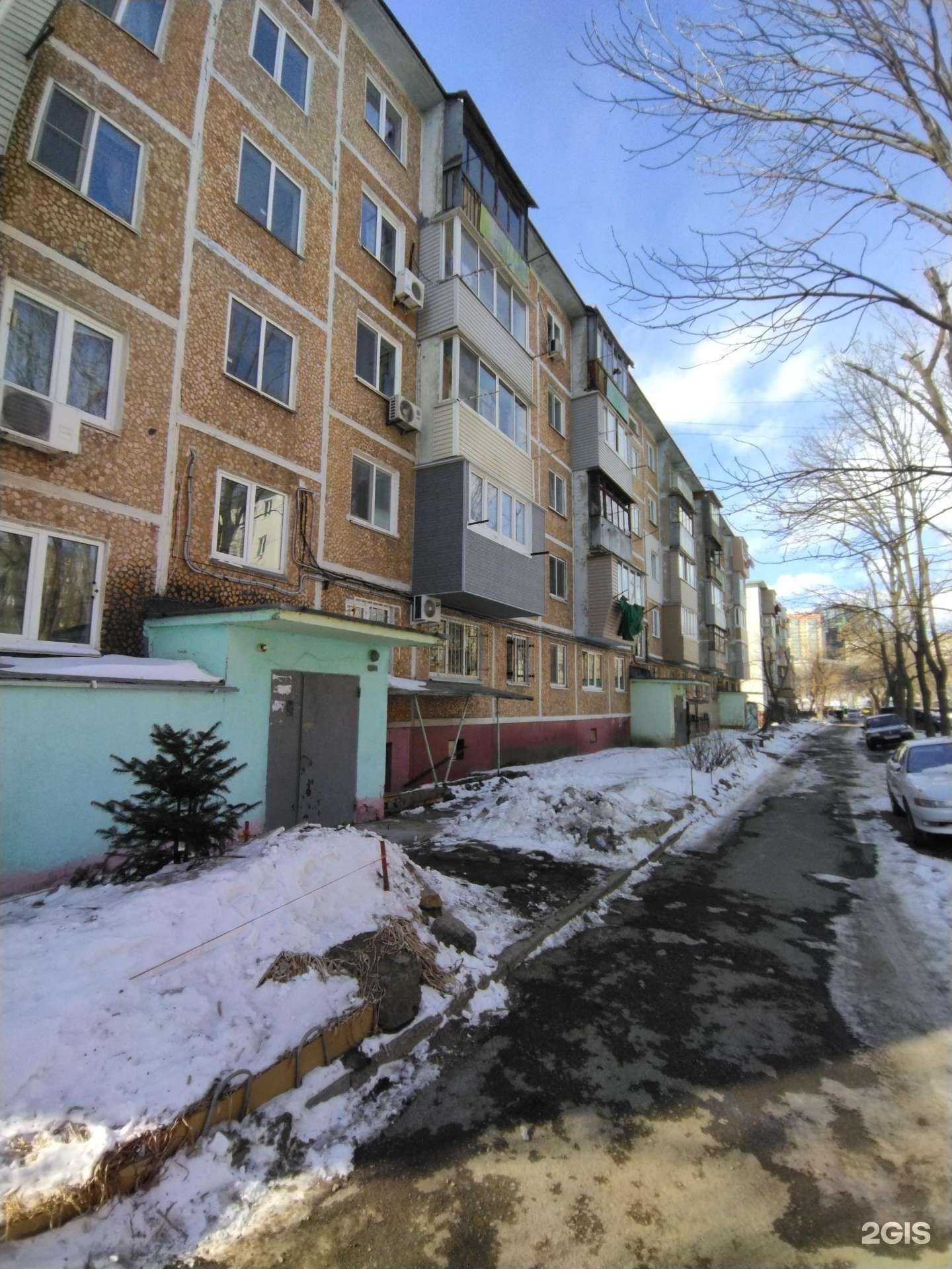 Отзывы на компанию Белый и Пушистый в Владивостоке c фото - фотография 2 из 2