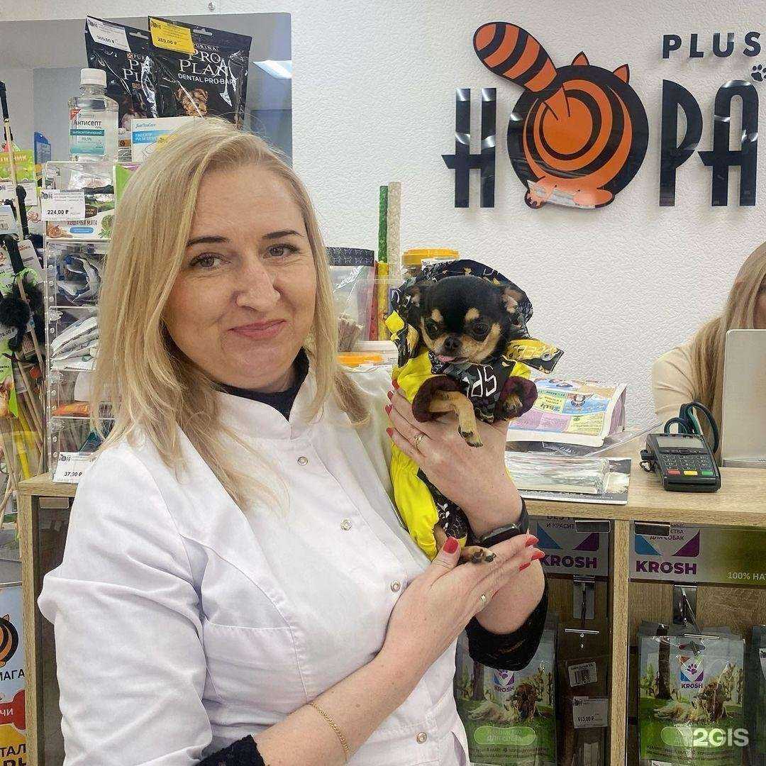 Отзывы на компанию Нора в Сочи c фото