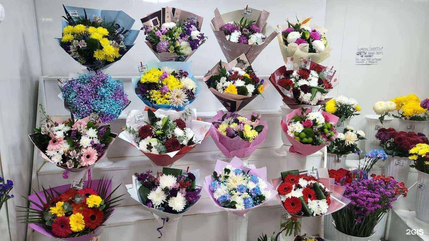 Отзывы на компанию Сафия в г. Екатеринбург c фото