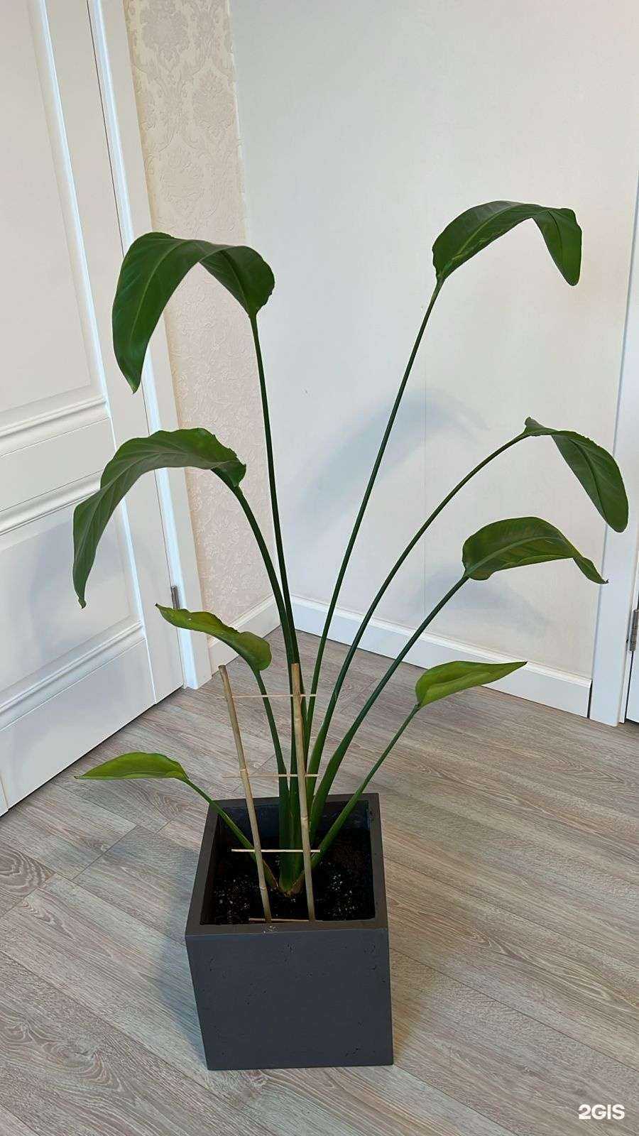 Отзывы на компанию Yy concrete в г. Набережные Челны c фото