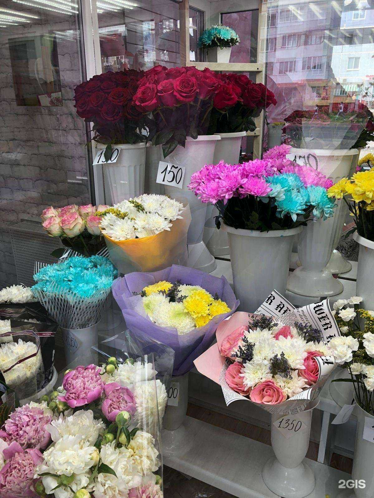 Отзывы на компанию Пиона в г. Омск c фото