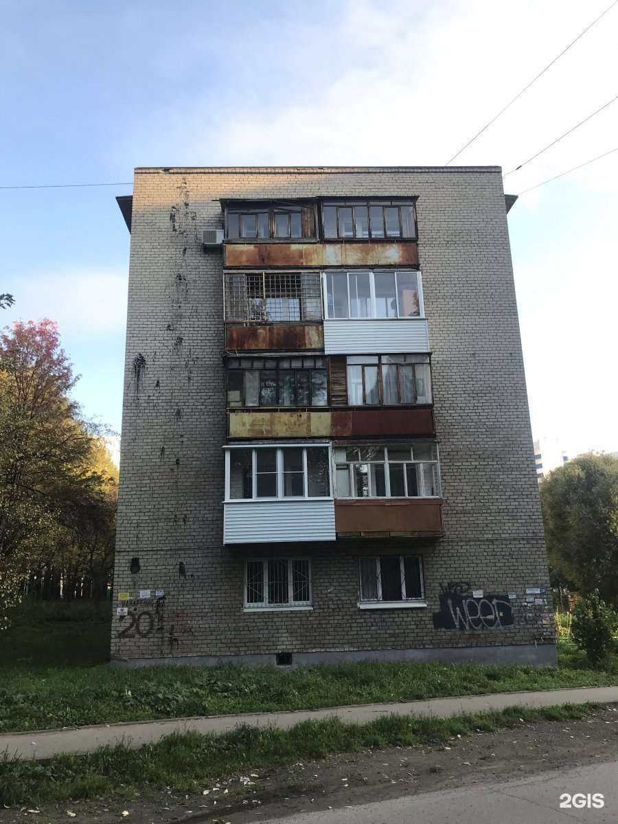 Отзывы на компанию КотоПес в Перми c фото - фотография 2 из 2