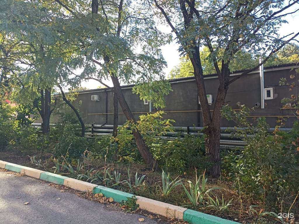 Отзывы на компанию Питомец в Ессентуках c фото - фотография 2 из 2