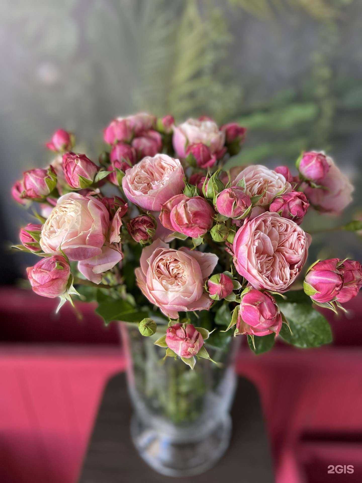 Отзывы на компанию Flory story в Липецке c фото