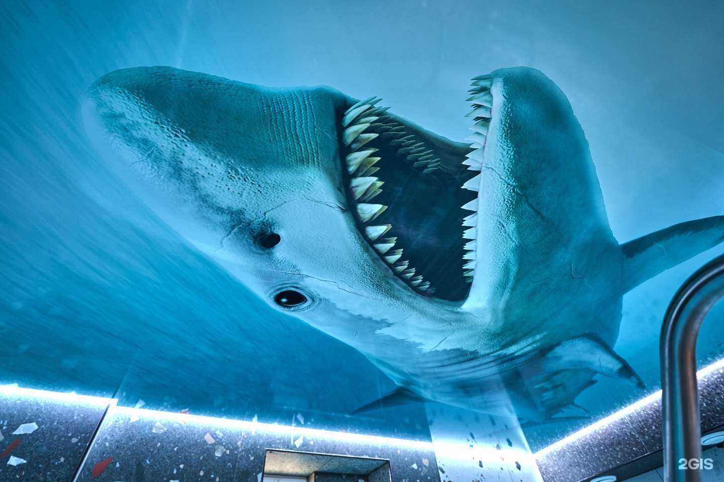 Отзывы на компанию Паровоз в Череповце c фото