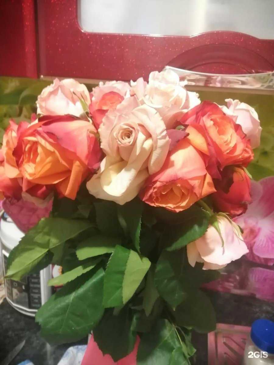 Отзывы на компанию Цветочный №1 в Брянске c фото