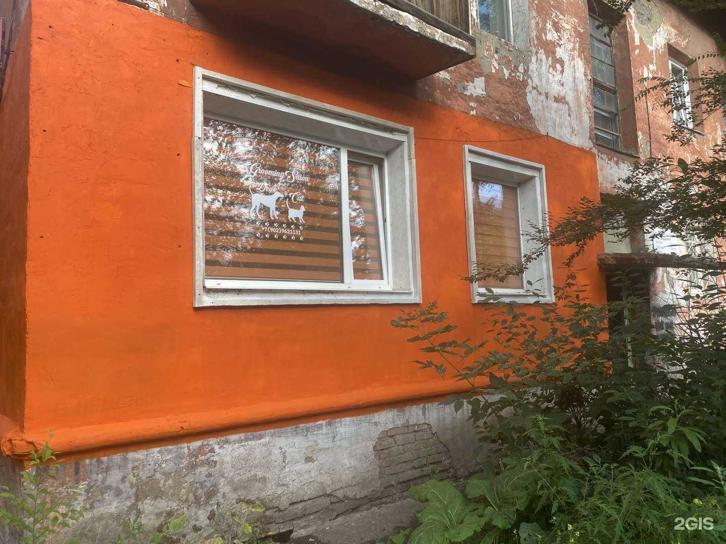 Отзывы на компанию Dog&Cat в Красноярске c фото