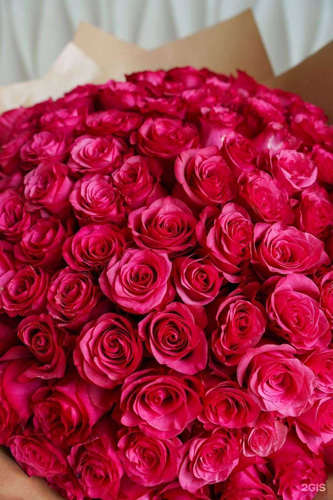 Отзывы на компанию Candy rose в Южно-Сахалинске c фото