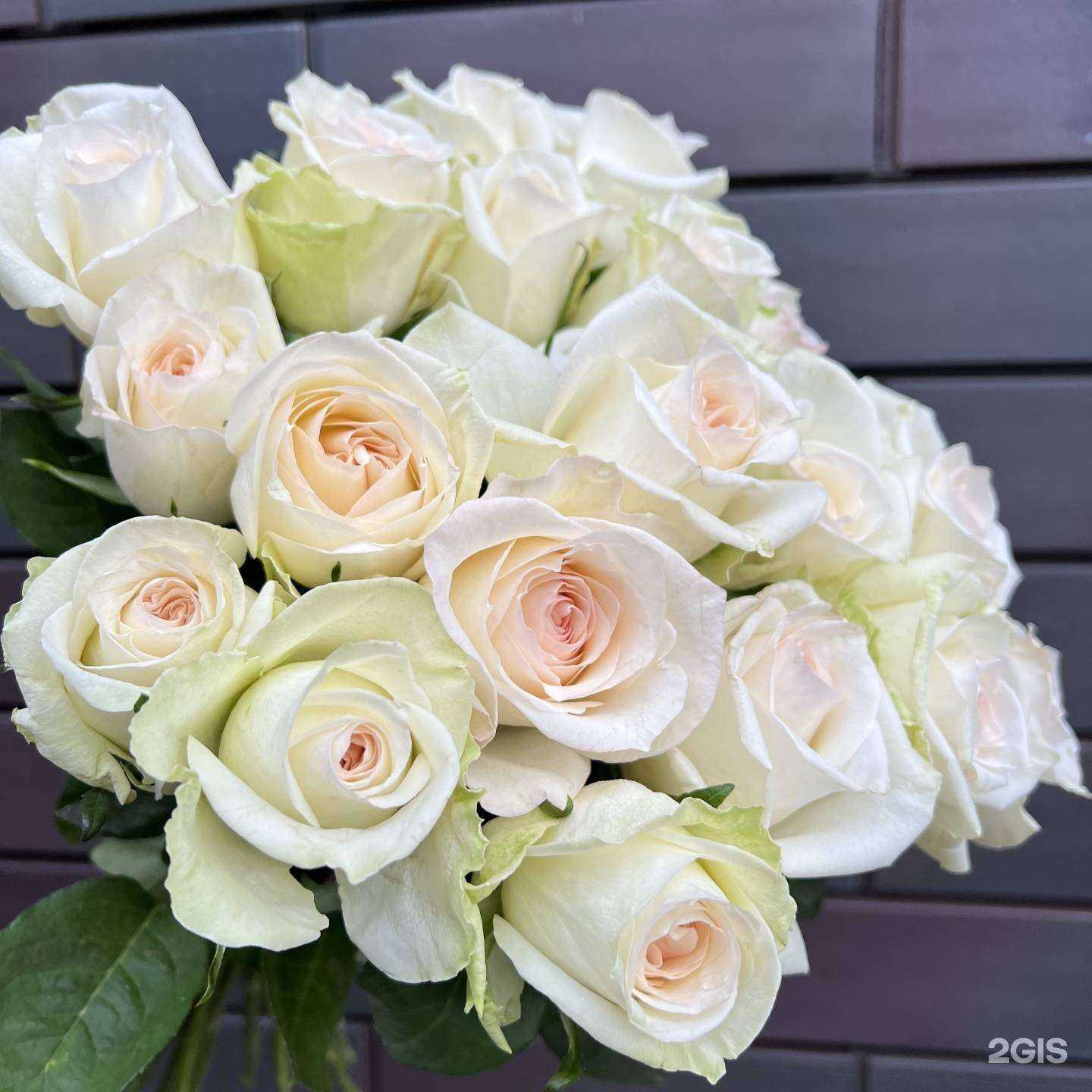 Отзывы на компанию Мастерская Королевы Луизы в Калининграде c фото