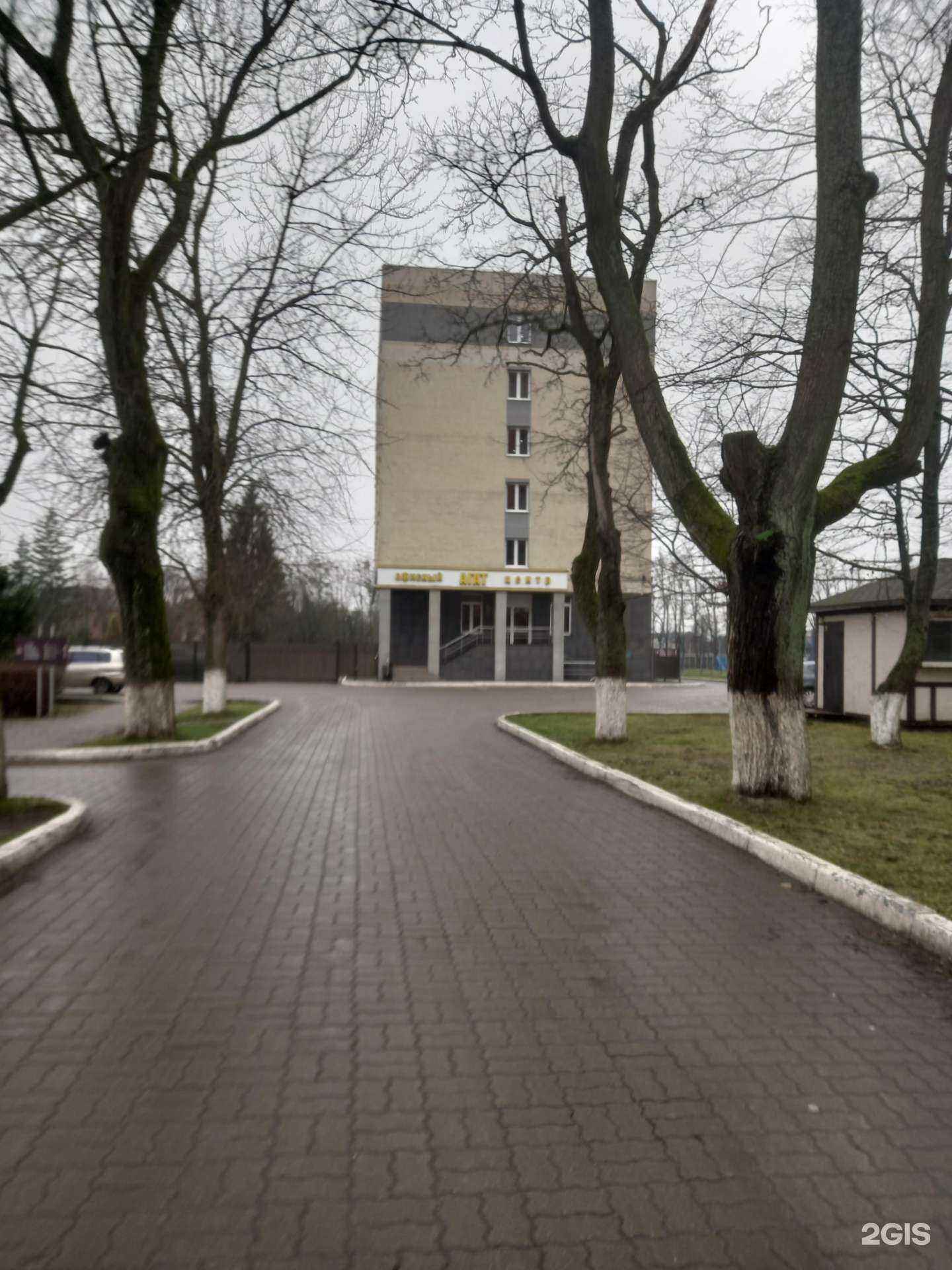 Отзывы на компанию Авто Рентал в г. Калининград c фото