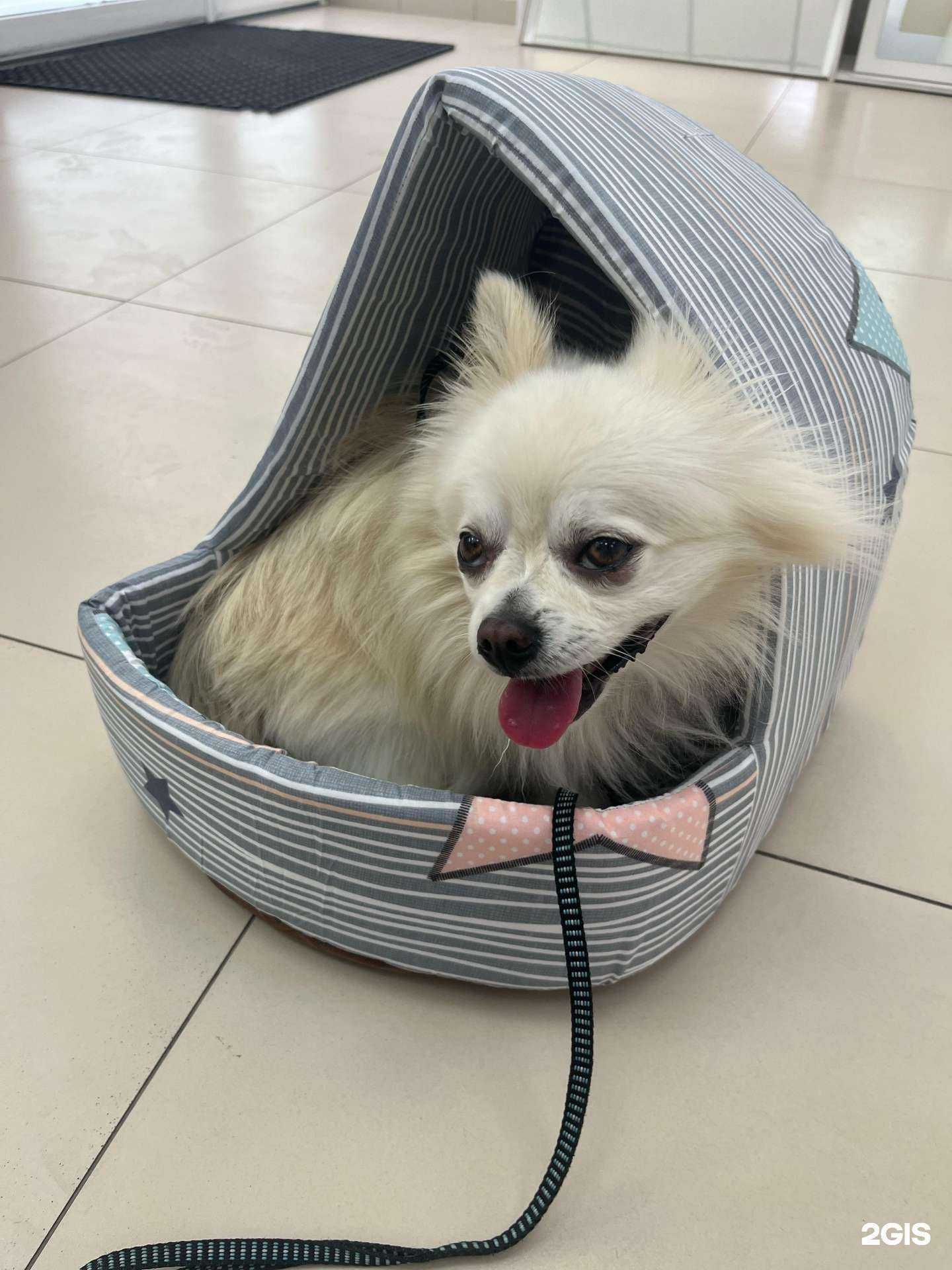 Отзывы на компанию Балто в Новороссийске c фото