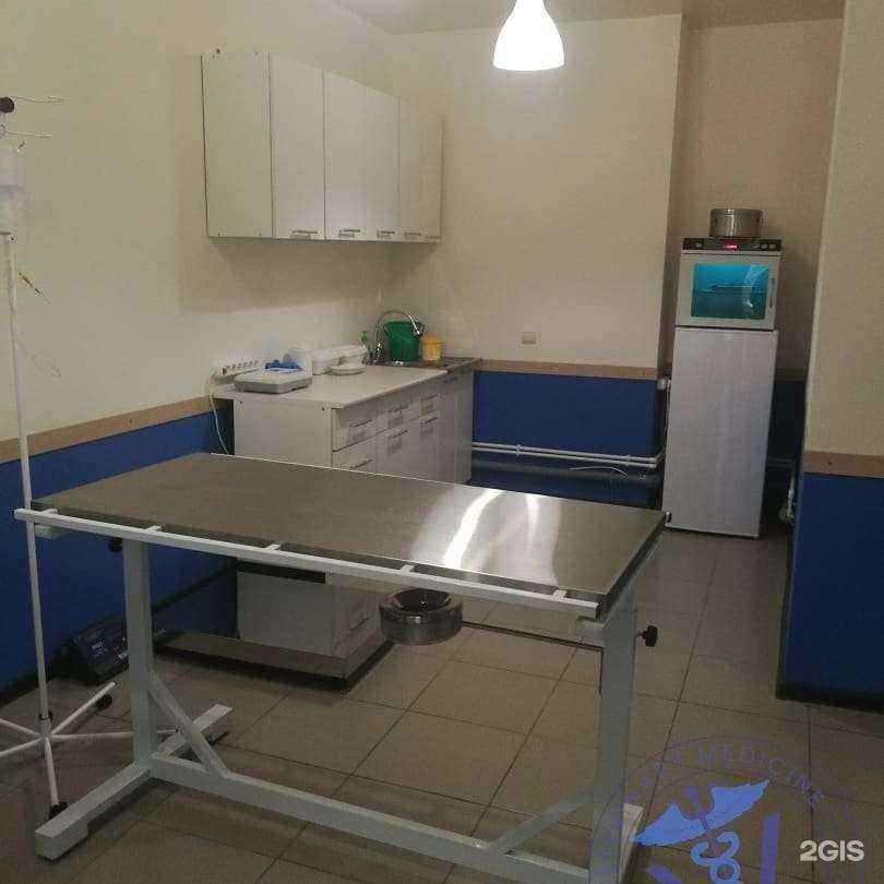 Отзывы на компанию Animal Clinic в г. Астрахань c фото