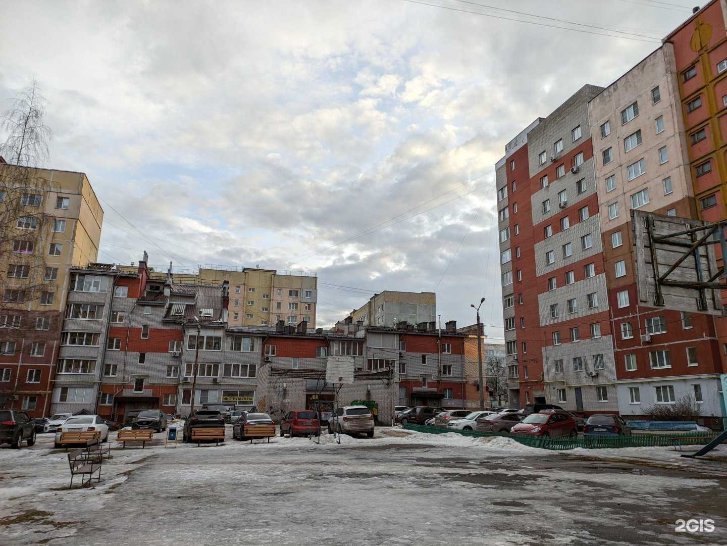 Отзывы на компанию Лона-вет в Туле c фото - фотография 2 из 2