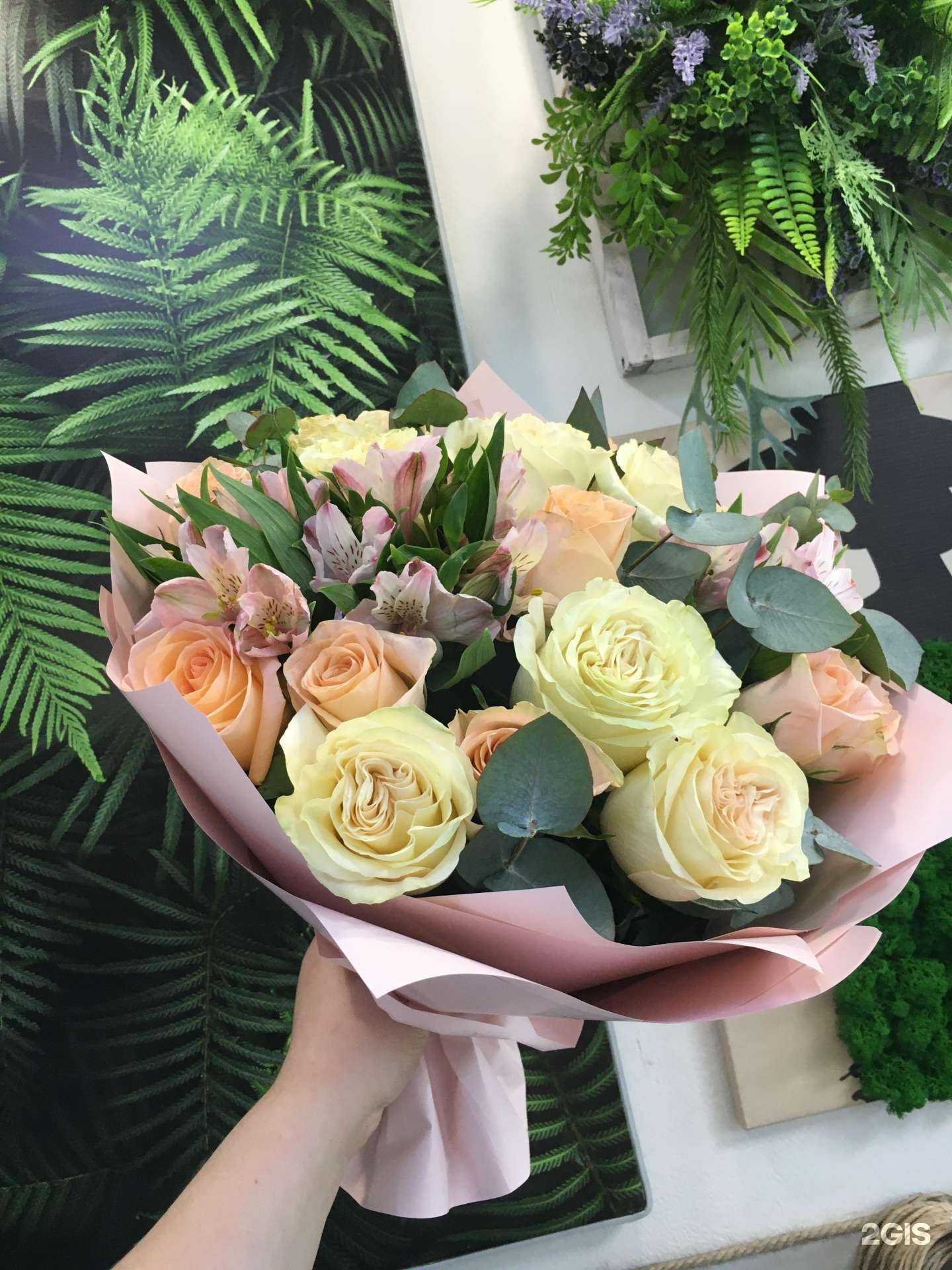 Отзывы на компанию Счастье есть в Кемерове c фото