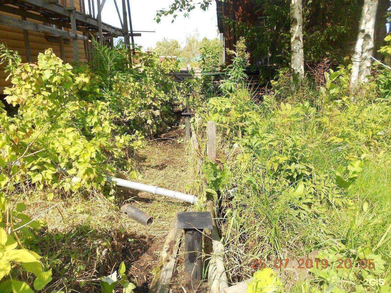 Отзывы на компанию Основа в Череповце c фото