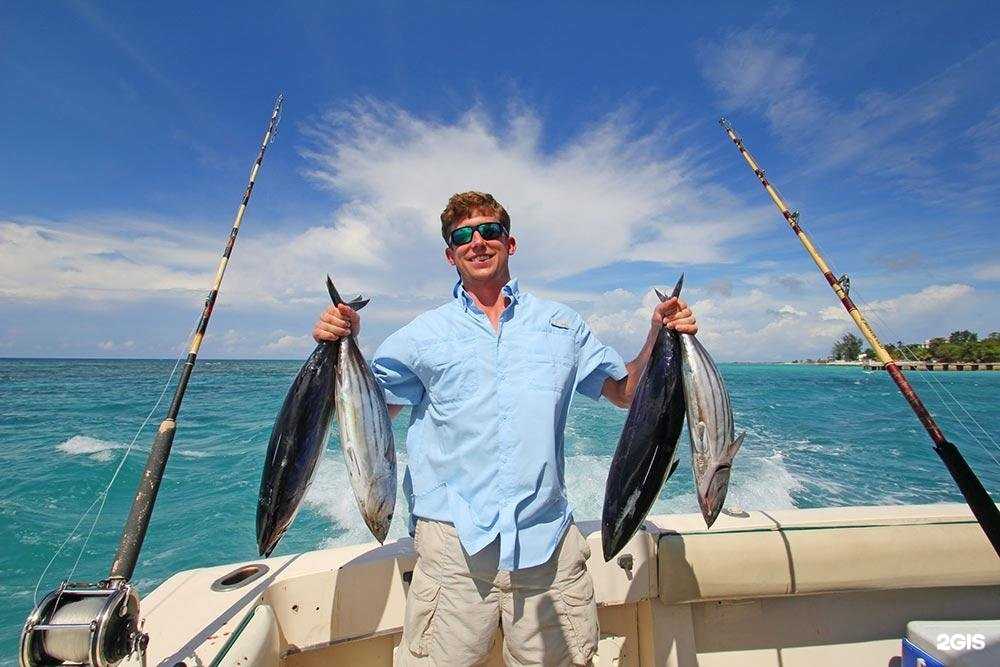 Отзывы на компанию Посейдон в г. Сочи c фото