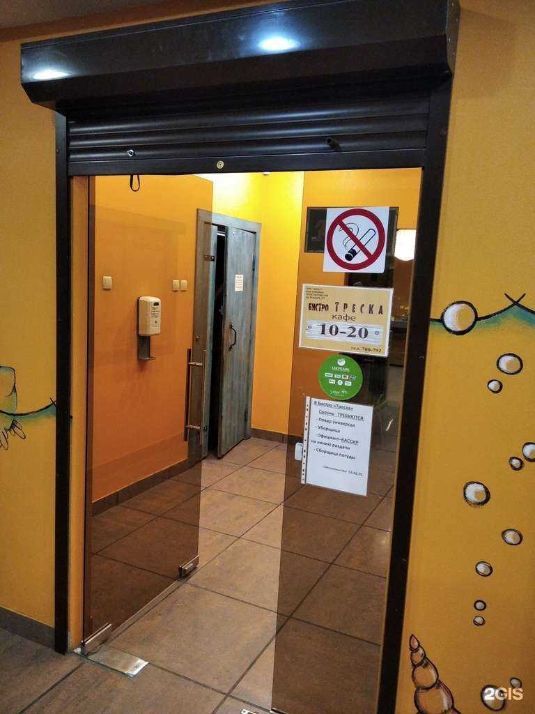 Отзывы на компанию Треска в Мурманске c фото