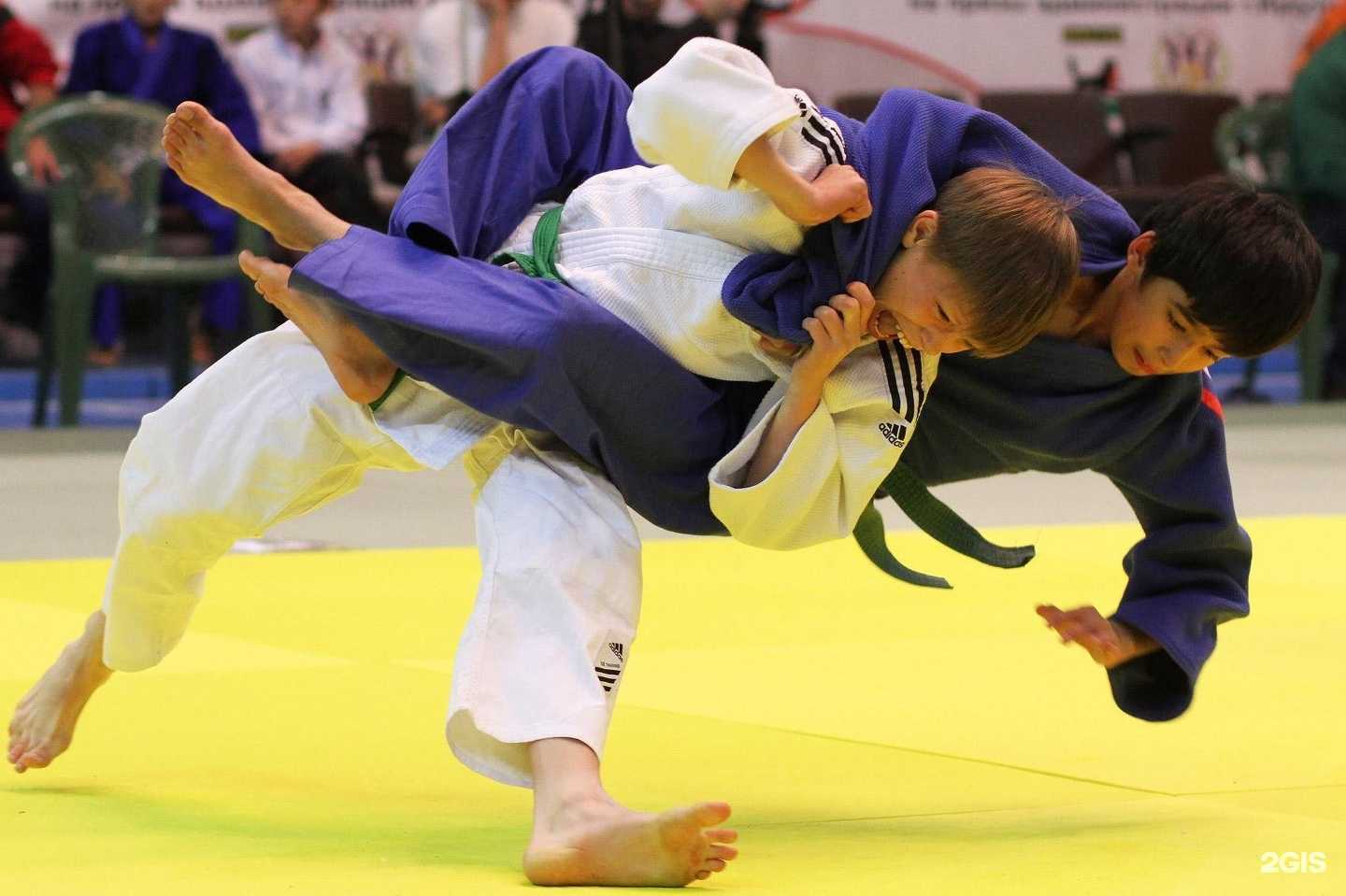 Отзывы на компанию СШОР по дзюдо им. С.Х. Нирова Министерства спорта Кабардино-Балкарской Республики в г. Нальчик c фото