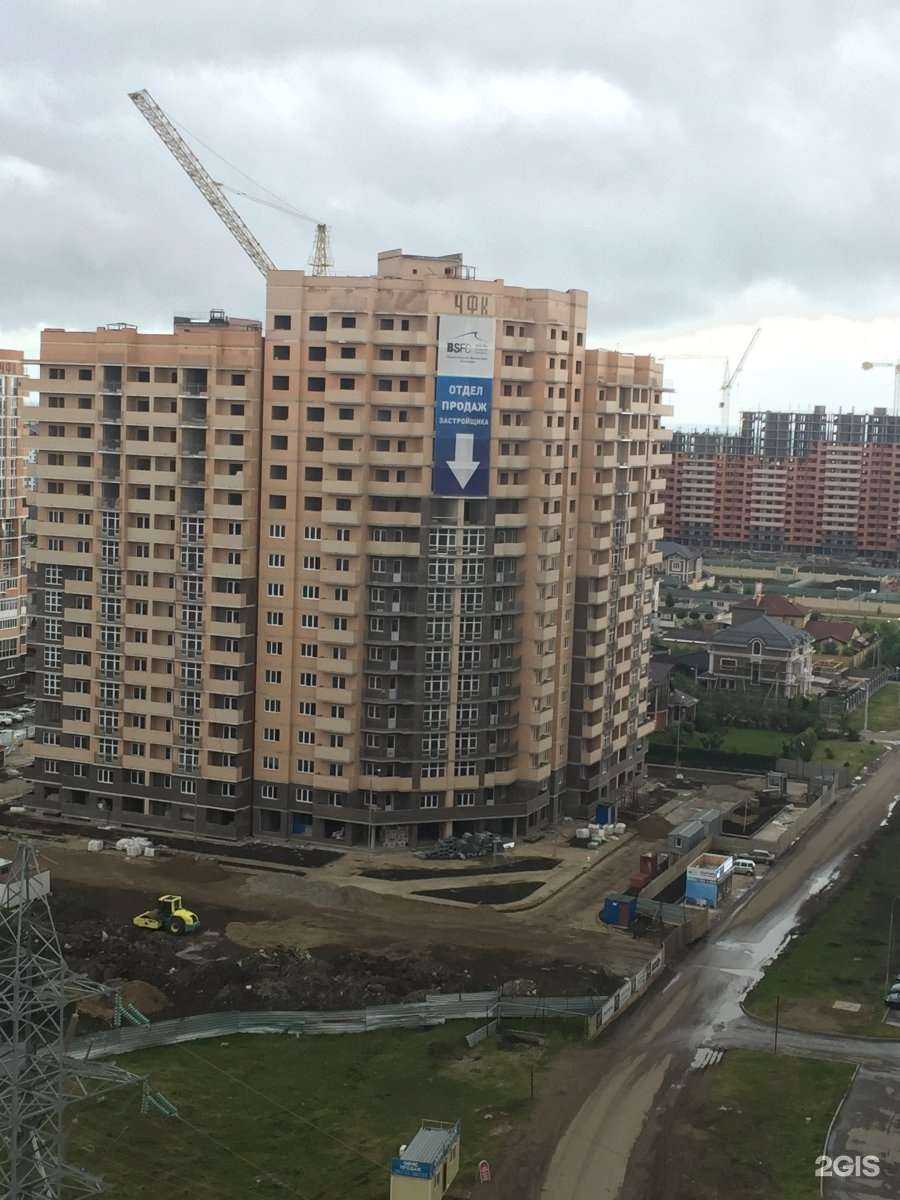 Отзывы на компанию Прогулка дога  в Краснодаре c фото