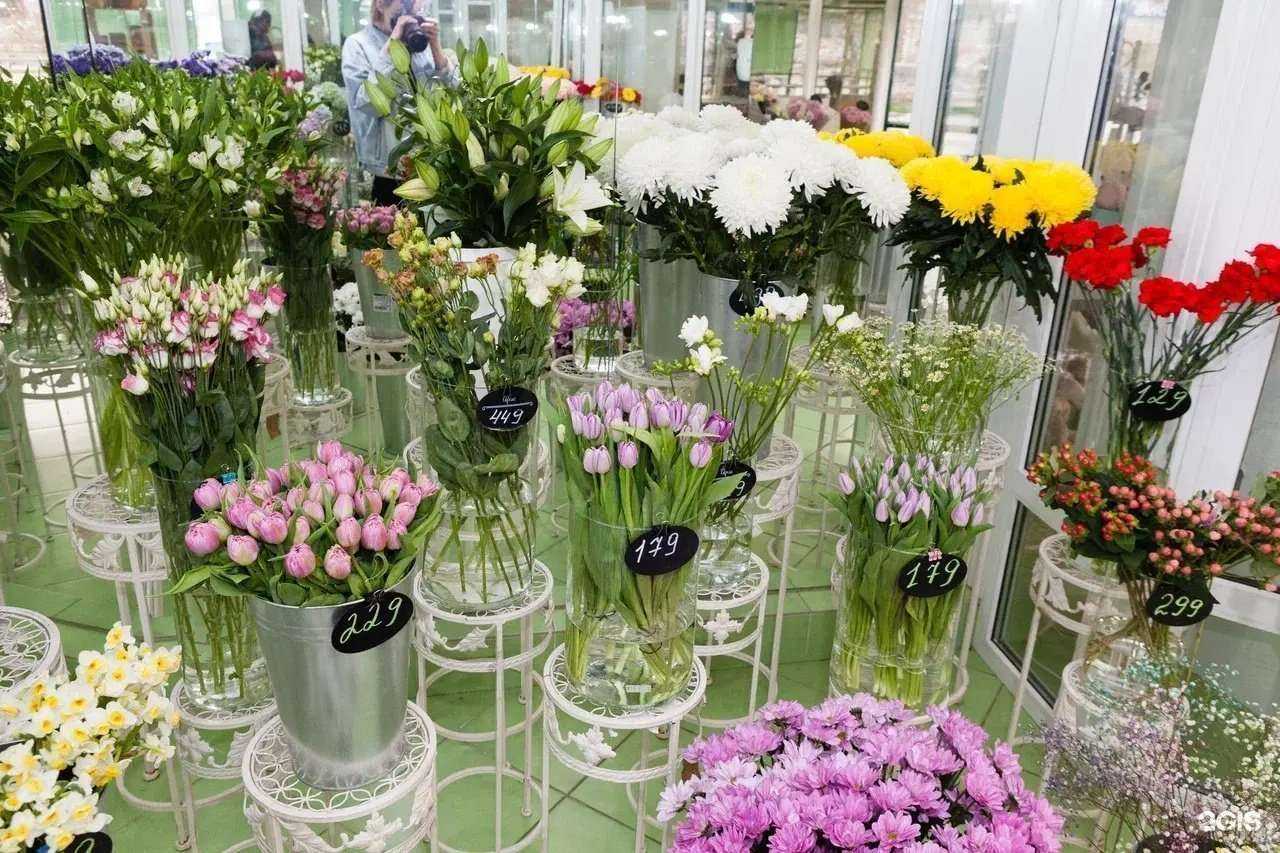 Отзывы на компанию Ирис в г. Химки c фото