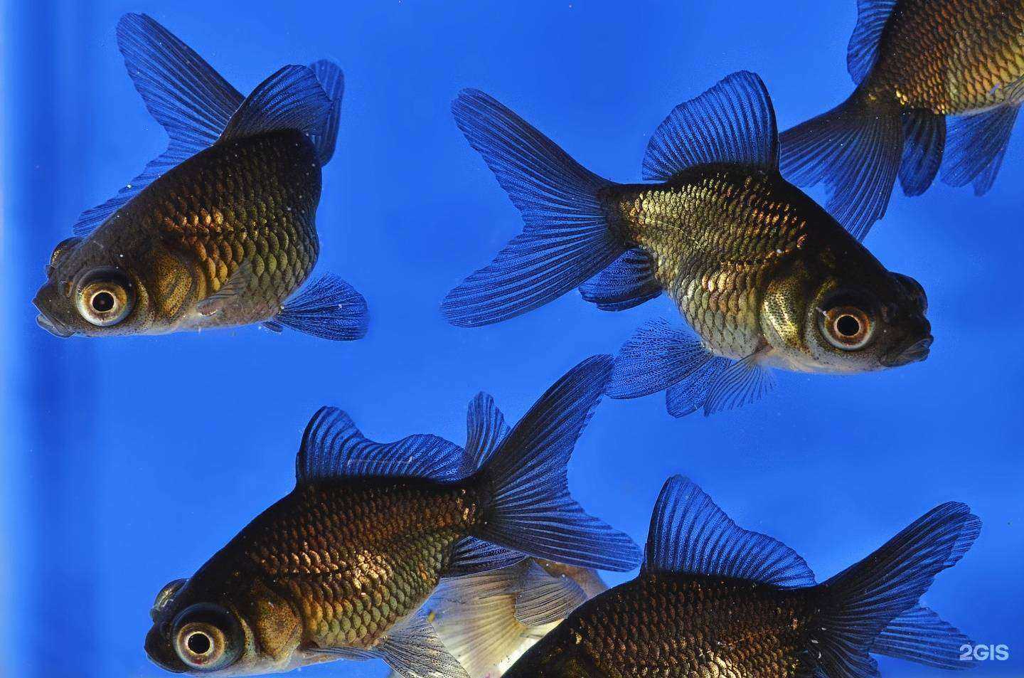 Отзывы на компанию Комета в Перми c фото