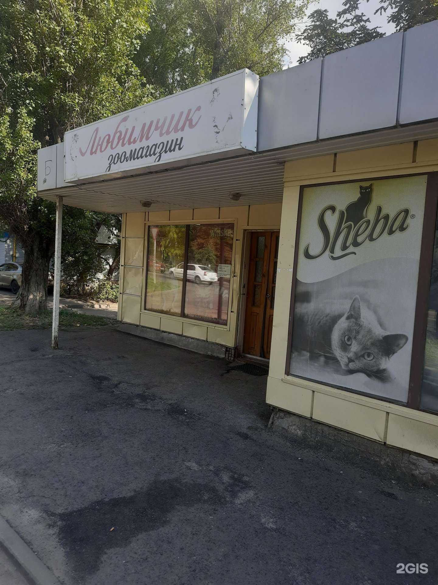 Отзывы на компанию Любимчик в г. Ростов-на-Дону c фото