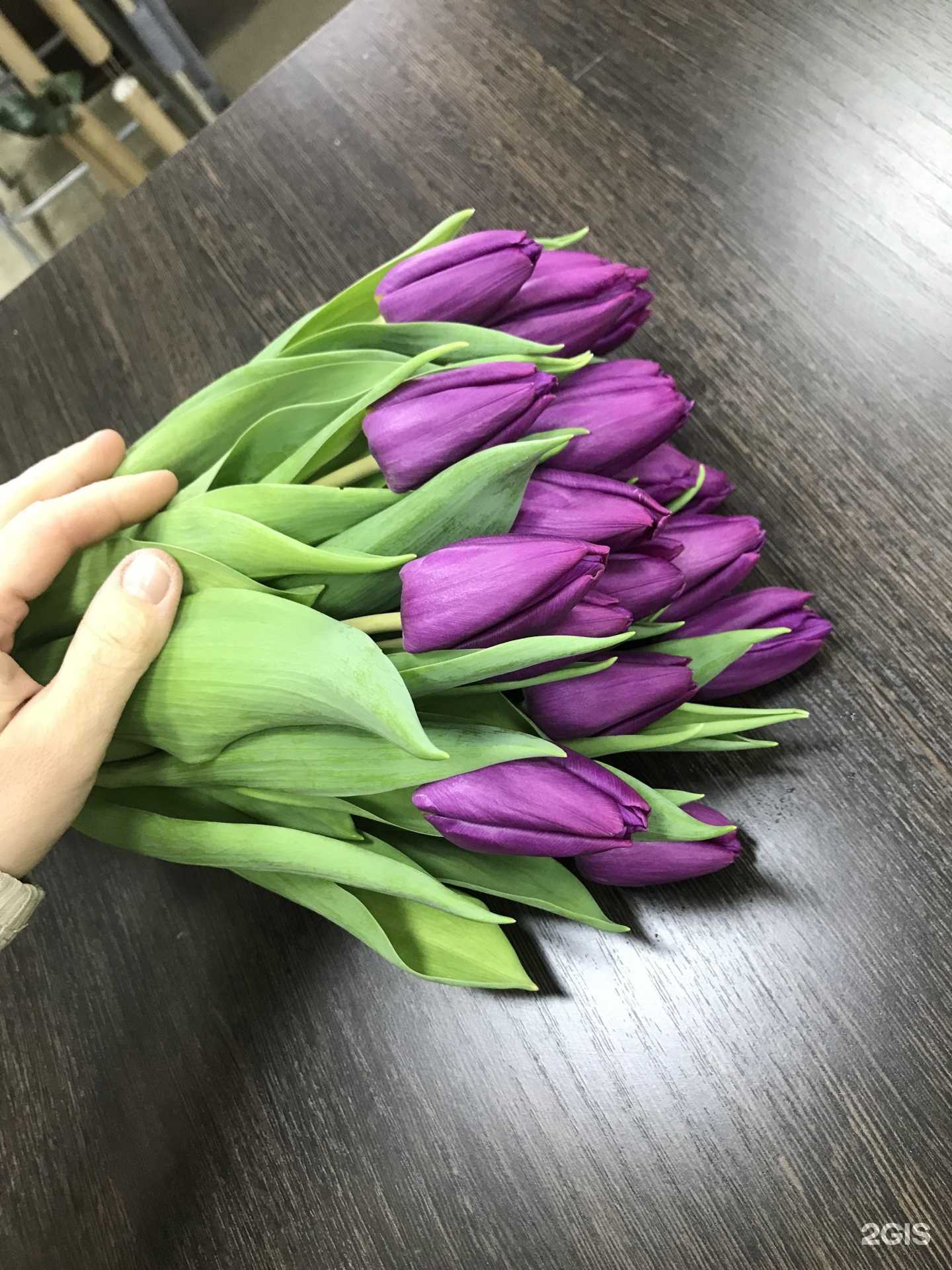 Отзывы на компанию Дикая Орхидея в Липецке c фото