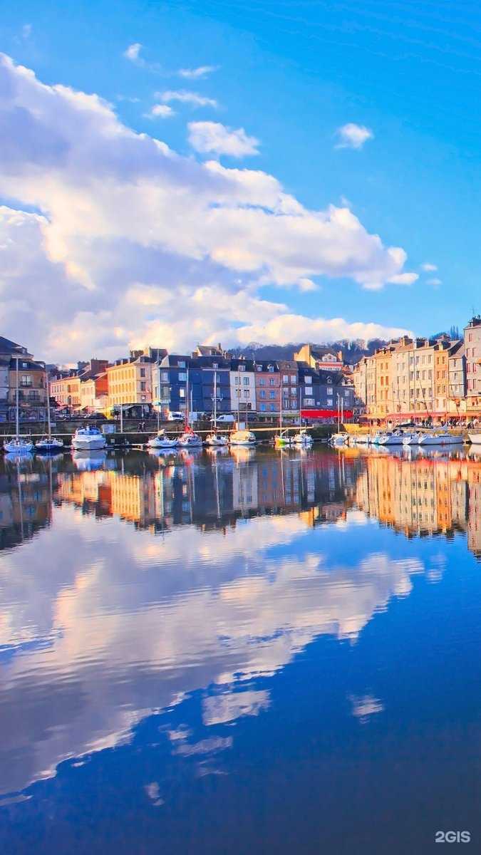 Отзывы на компанию Жигулёвская станция по борьбе с болезнями животных в Жигулевске c фото - фотография 2 из 2