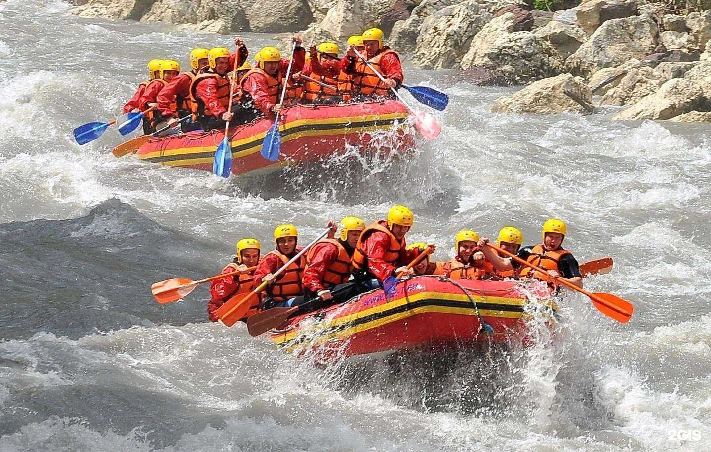 Отзывы на компанию Днт в Краснодаре c фото