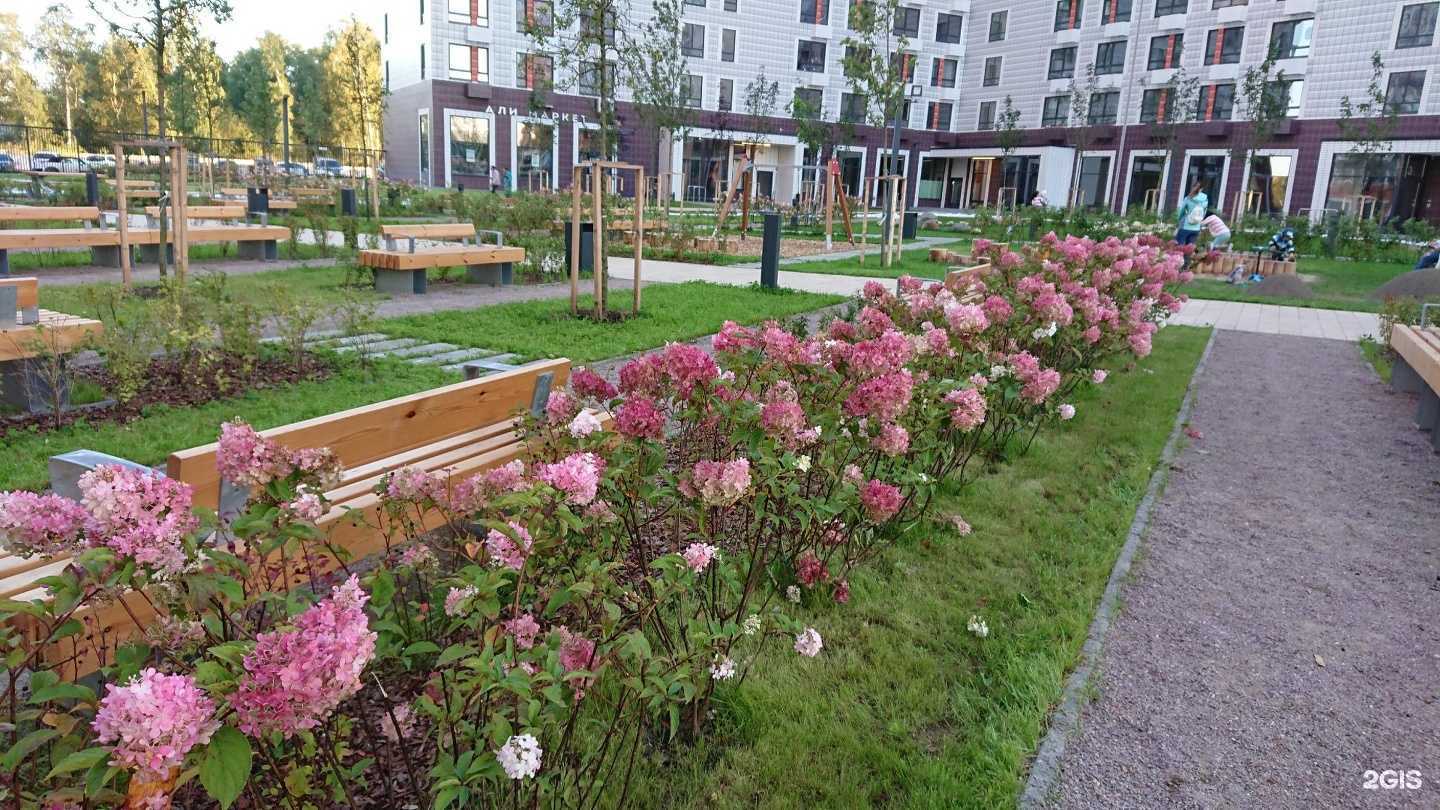 Отзывы на компанию Семья в Балашихе c фото - фотография 2 из 2