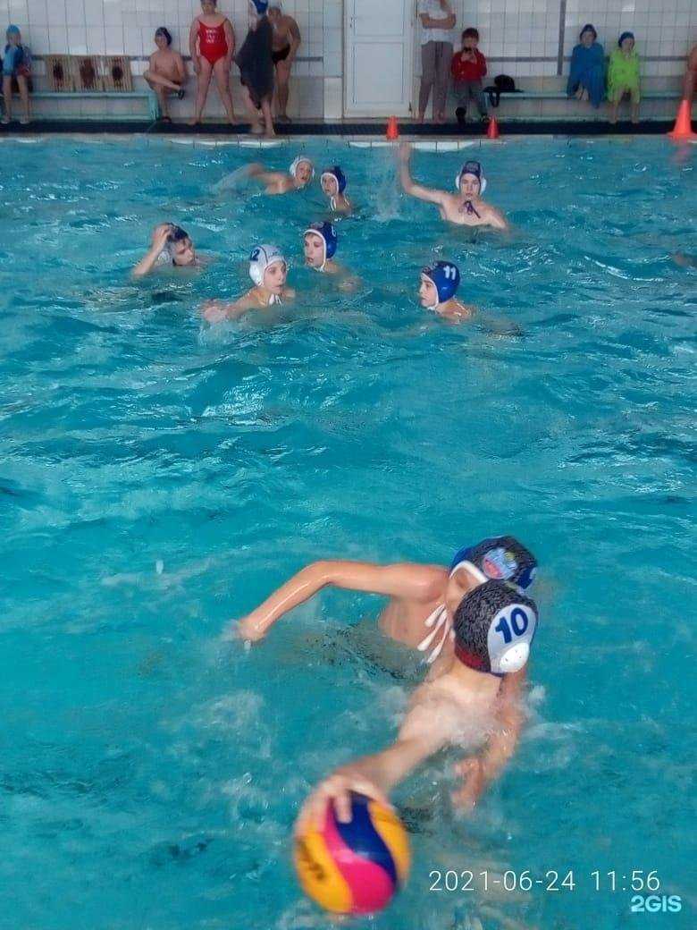 Отзывы на компанию Тайфун в Омске c фото