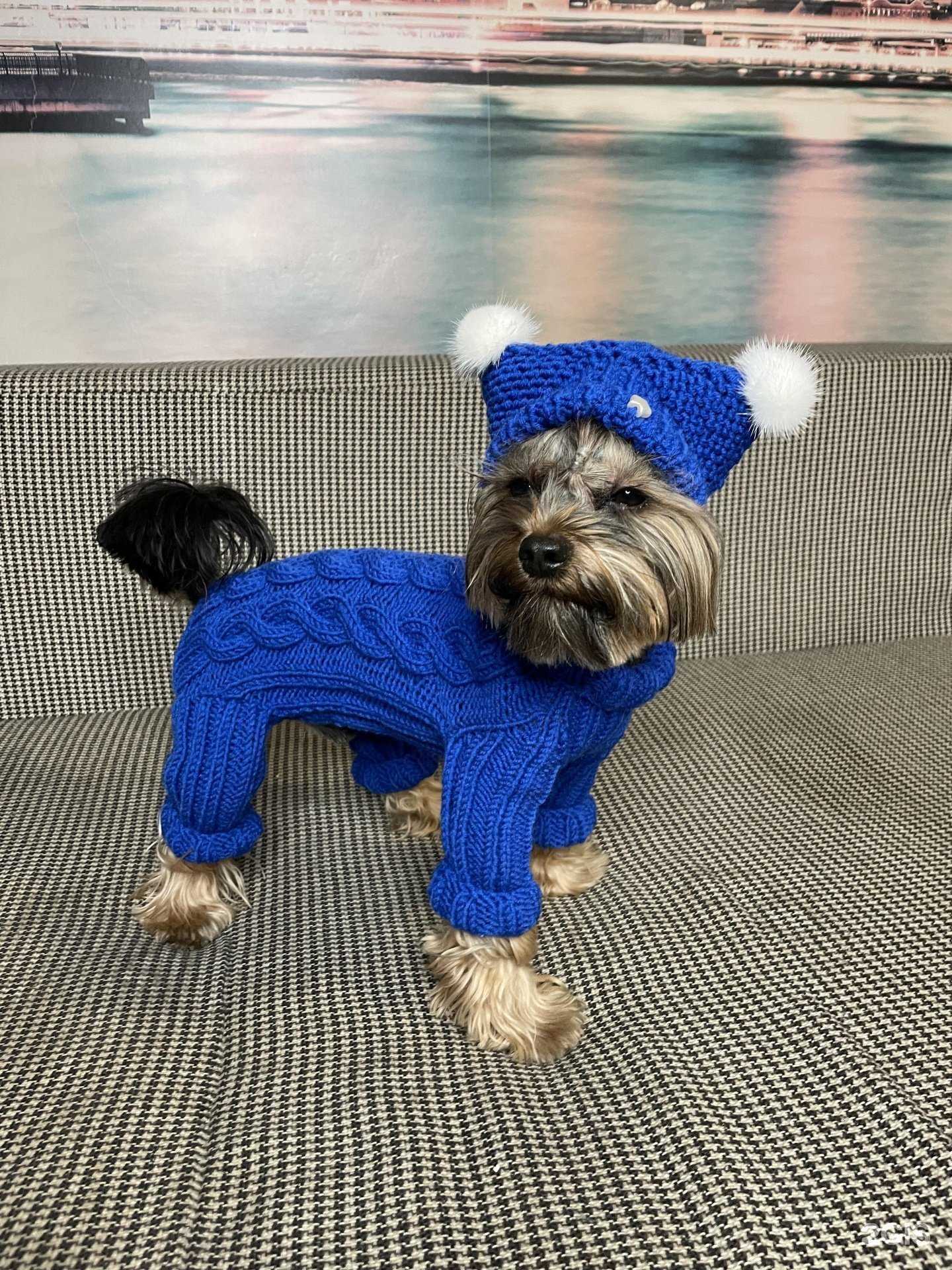 Отзывы на компанию Династия в г. Краснодар c фото