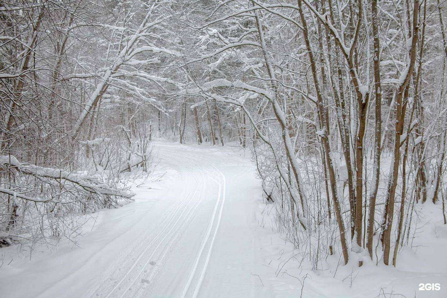 Отзывы на компанию Центр проката лыж в Перми c фото